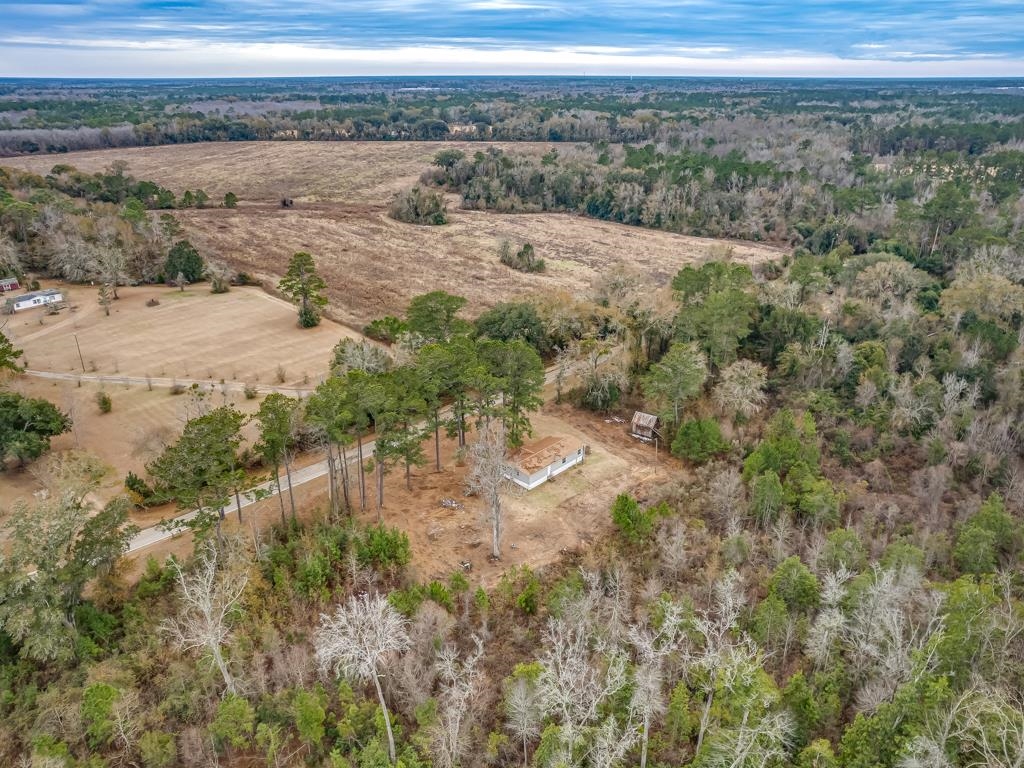 6667 Juniper Creek Road Quincy, FL 32351 - Photo 3 of 37