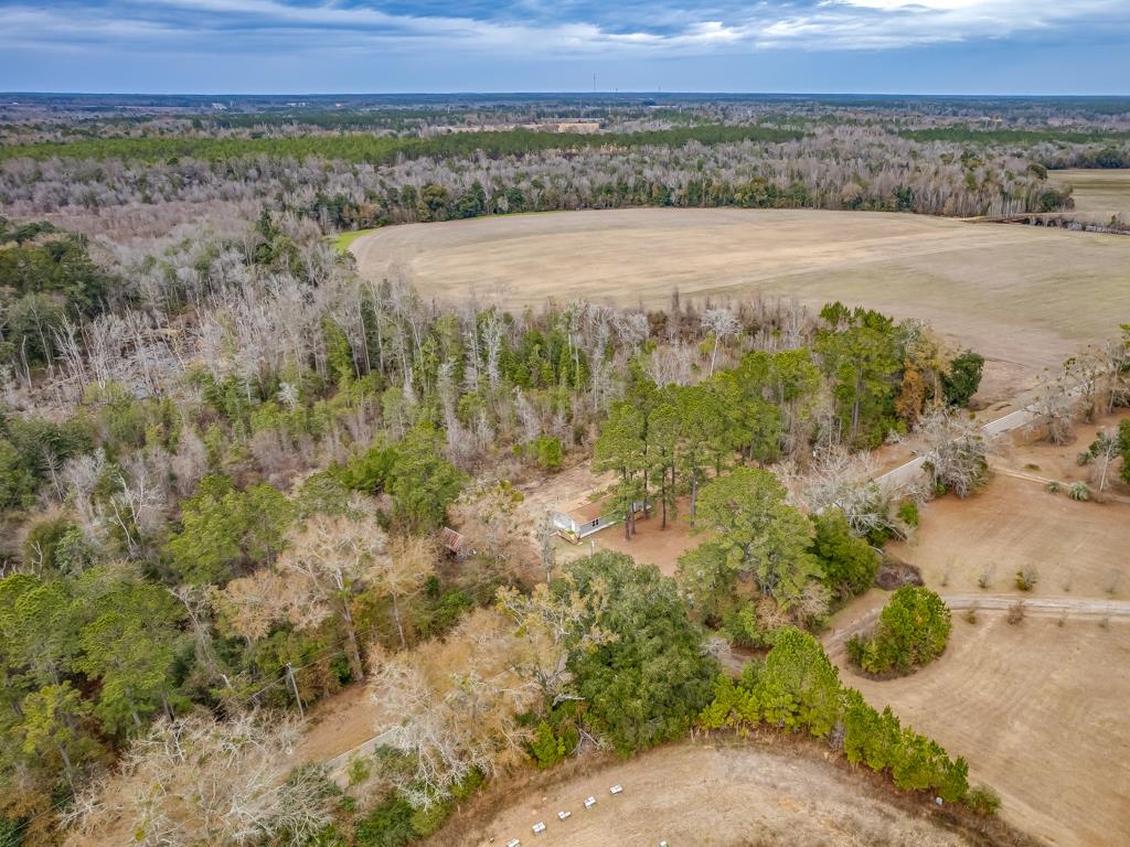 6667 Juniper Creek Road Quincy, FL 32351 - Photo 36 of 37