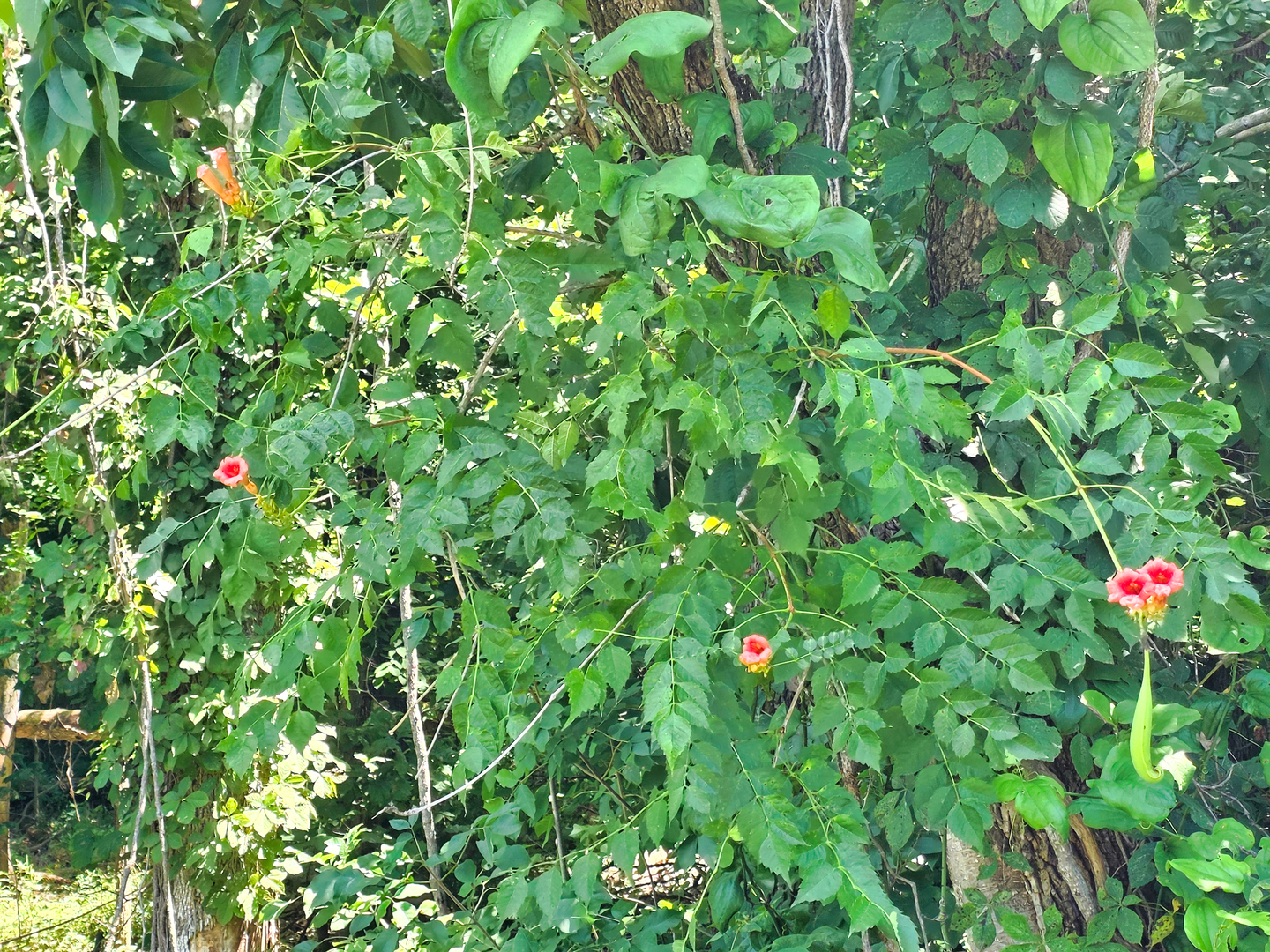 0 South Stanford Road Flora, IL 62839 - Photo 12 of 12 Gallery Image 12
