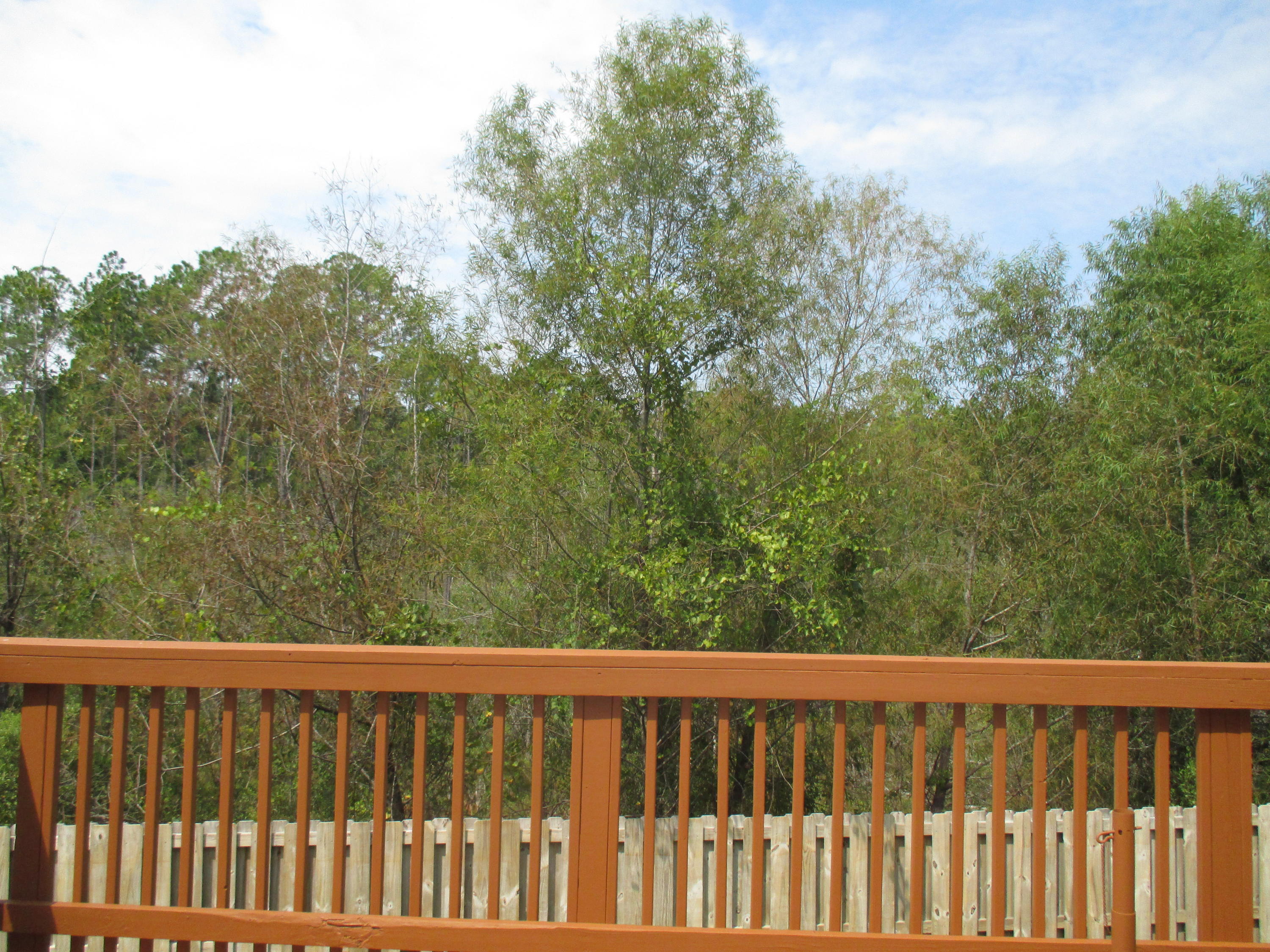 652 Red Fern Road Crestview, FL 32536 - Photo 24 of 32 a view of a balcony with outdoor space