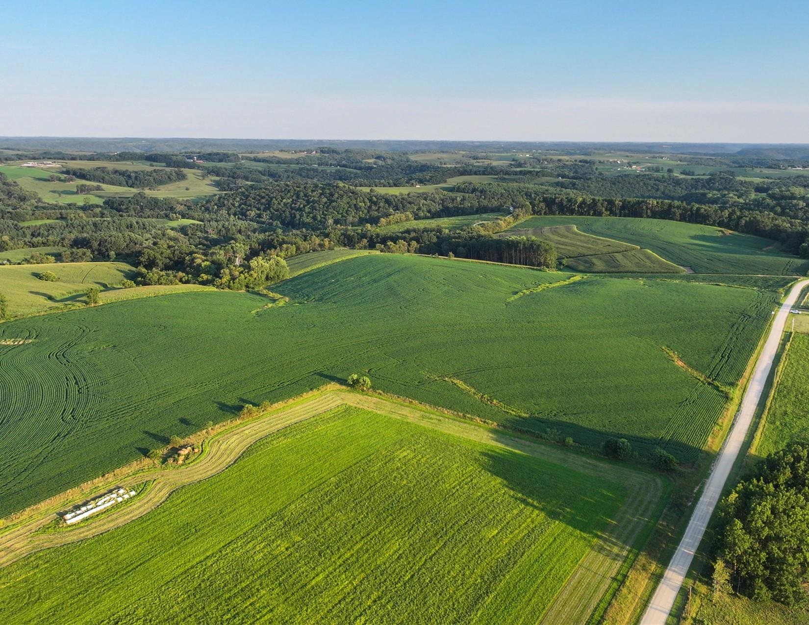 40.22-acres Stump Ridge Road Viroqua, WI 54665 - Photo 7 of 12 Gallery Image 7