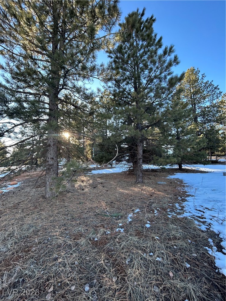 1330 Strawberry Point Road Duck Creek Village, UT 84762 - Photo 24 of 25