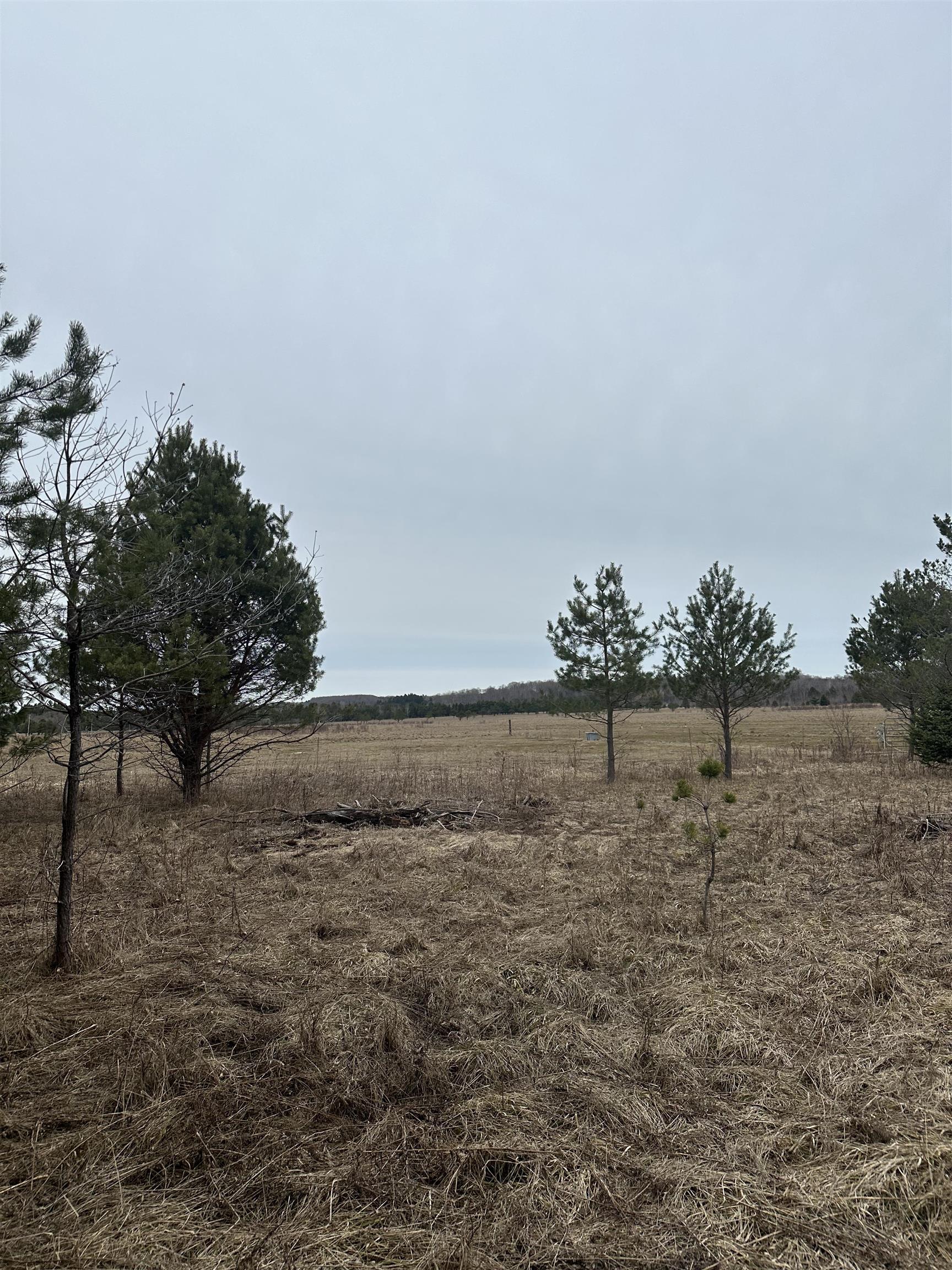 9537 Lakeview Road Alanson, MI 49706 - Photo 5 of 9
