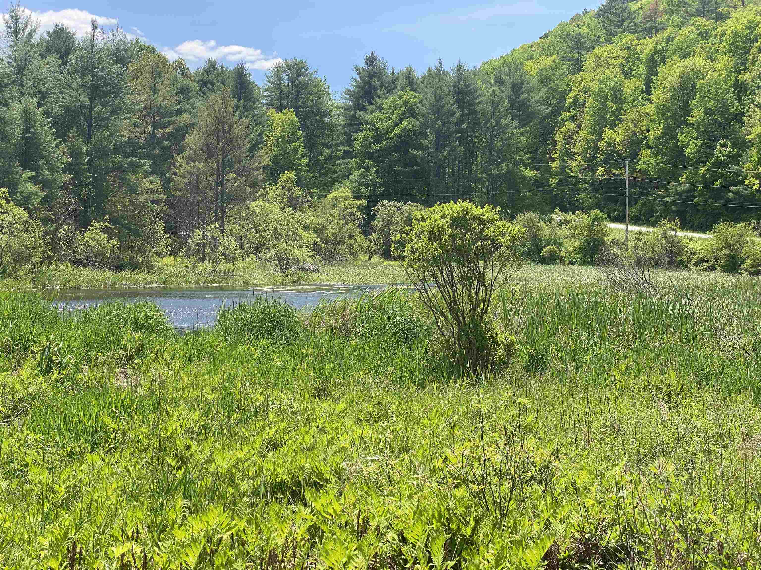 8 Norford Lake Road Norwich, VT 05055 - Photo 5 of 12