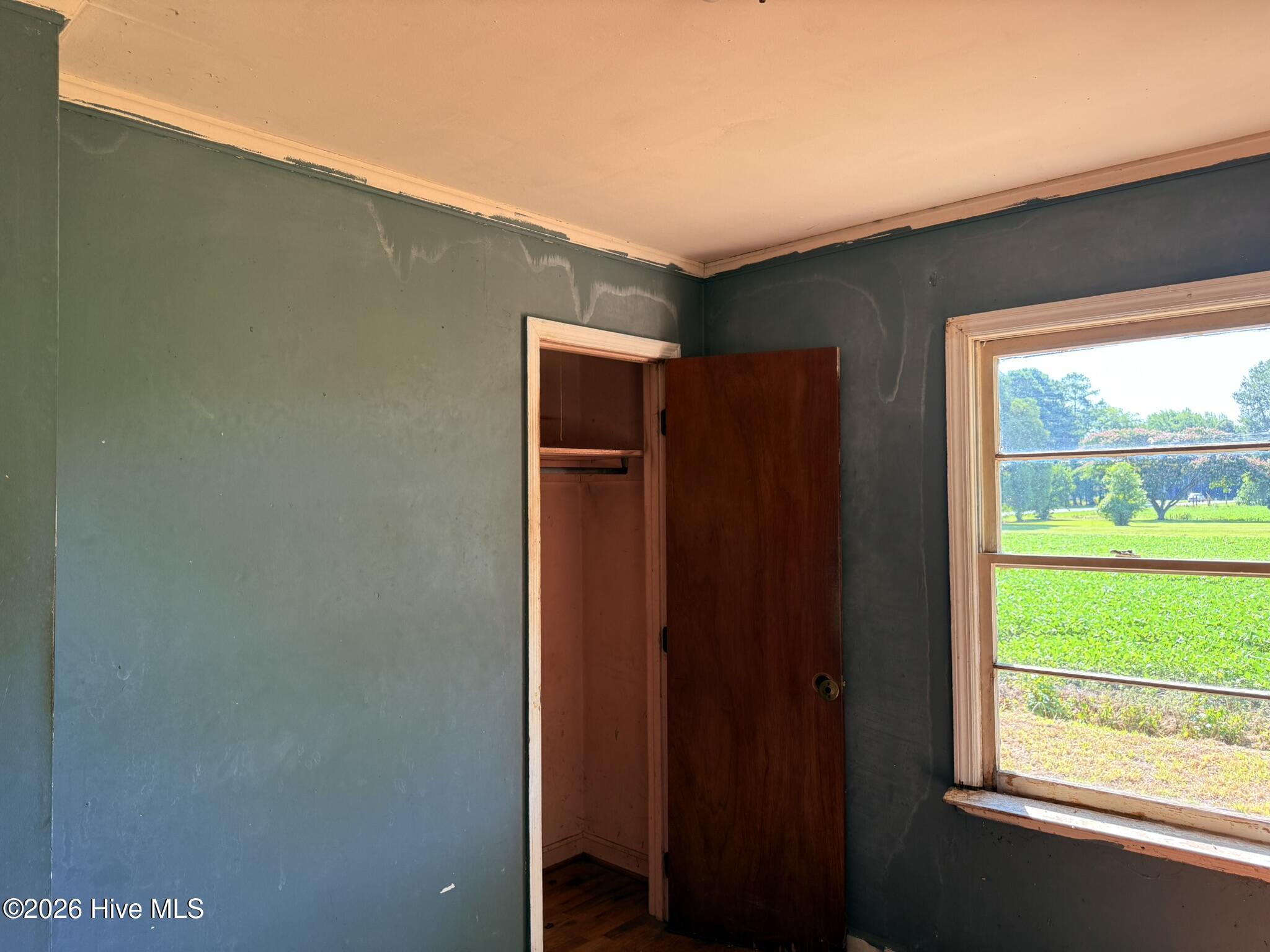 609 Swamp Road Pantego, NC 27860 - Photo 16 of 16