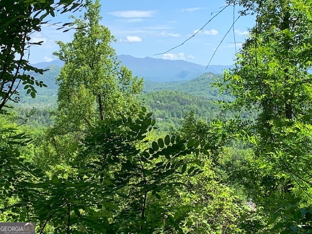 Lot 3 Morgan Ridge Drive Young Harris, GA 30582 - Photo 2 of 11 a view of a large yard with lots of bushes