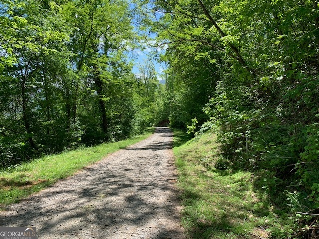 Lot 3 Morgan Ridge Drive Young Harris, GA 30582 - Photo 3 of 11 a view of a yard with plants and a trees