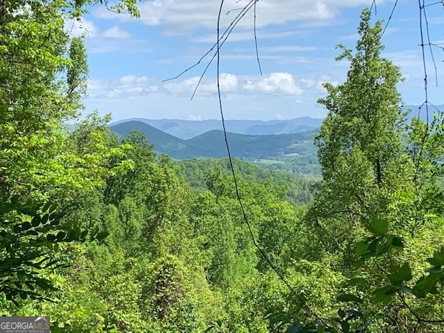 Lot 3 Morgan Ridge Drive Young Harris, GA 30582 - Photo 5 of 11 a backyard of a house with plants and a yard