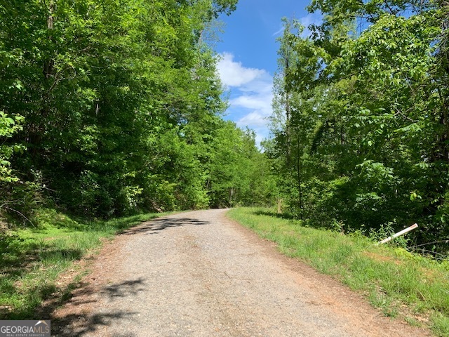 Lot 3 Morgan Ridge Drive Young Harris, GA 30582 - Photo 6 of 11 a view of a plants with pathway