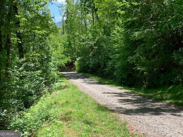 Lot 3 Morgan Ridge Drive Young Harris, GA 30582 - Photo 7 of 11 a view of backyard with green space