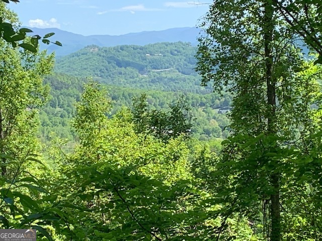Lot 3 Morgan Ridge Drive Young Harris, GA 30582 - Photo 8 of 11 a view of a lush green forest with trees and some houses