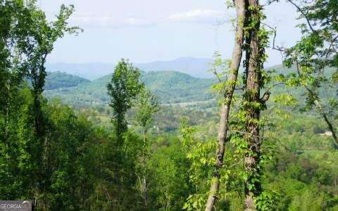 Lot 3 Morgan Ridge Drive Young Harris, GA 30582 - Photo 9 of 11 a view of a garden