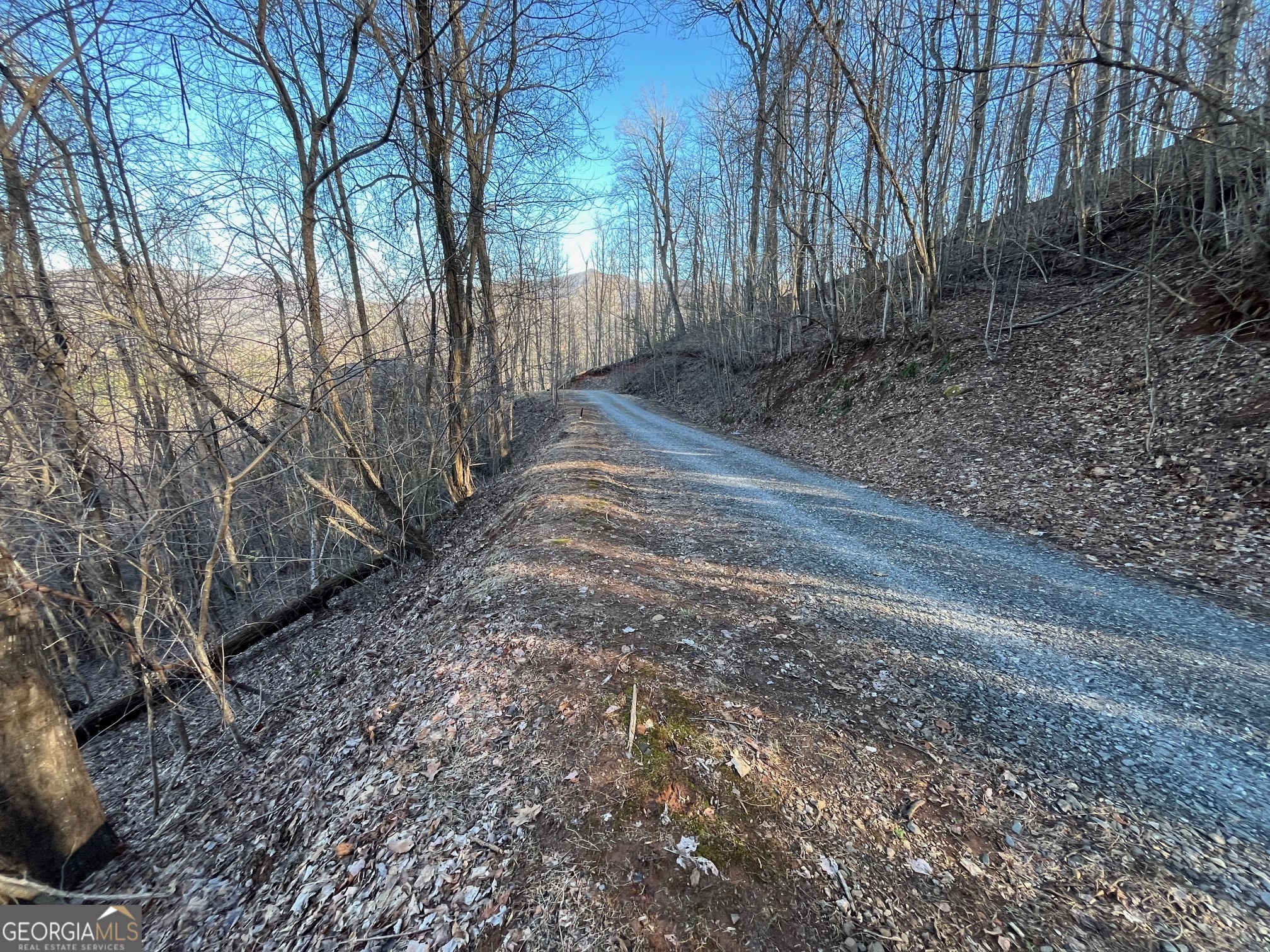 Lot 3 Morgan Ridge Drive Young Harris, GA 30582 - Photo 10 of 11 a backyard of a house with lots of green space