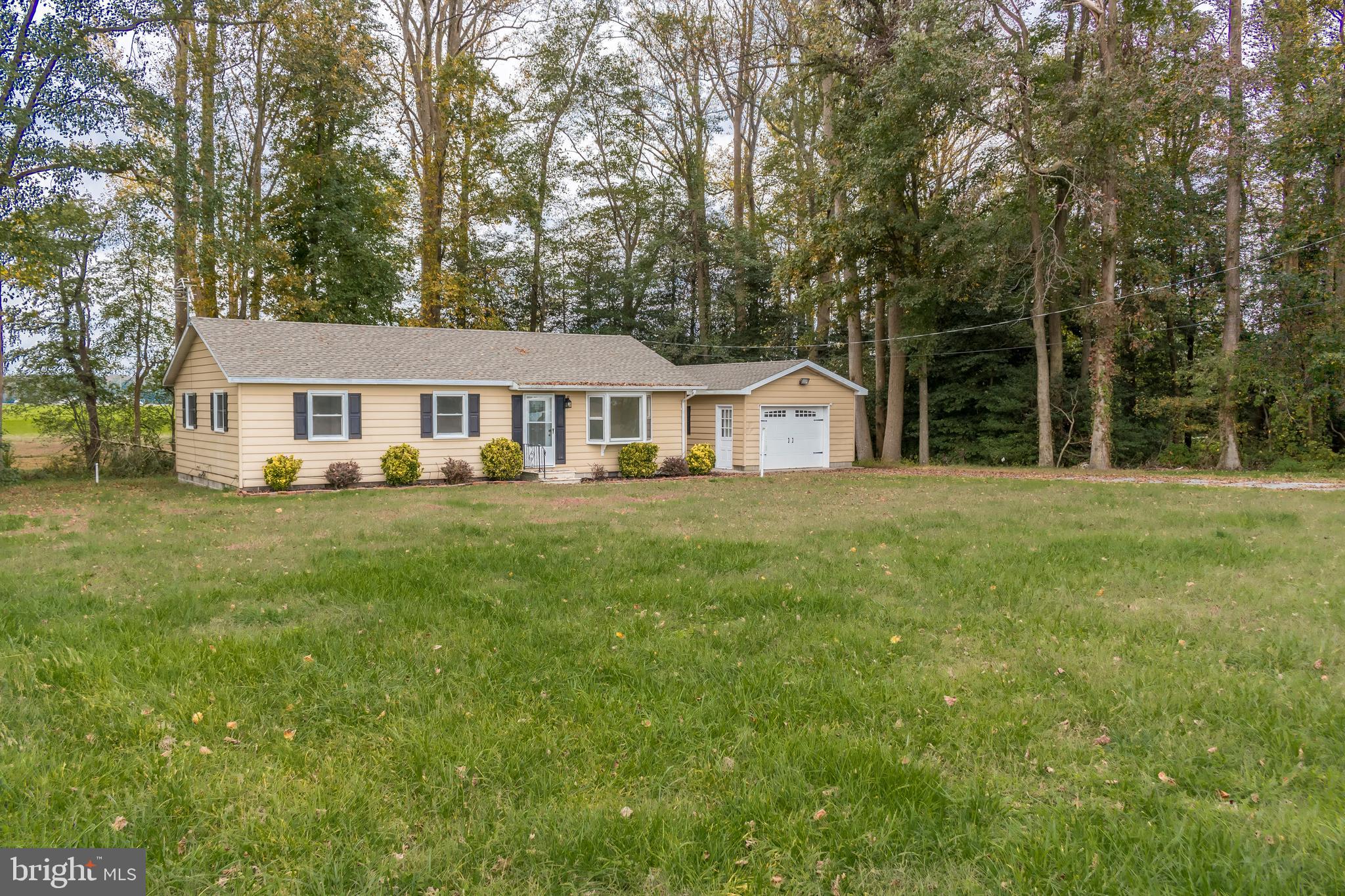 32204 Townsend Road Dagsboro, DE 19939 - Photo 2 of 20 Gallery Image 2