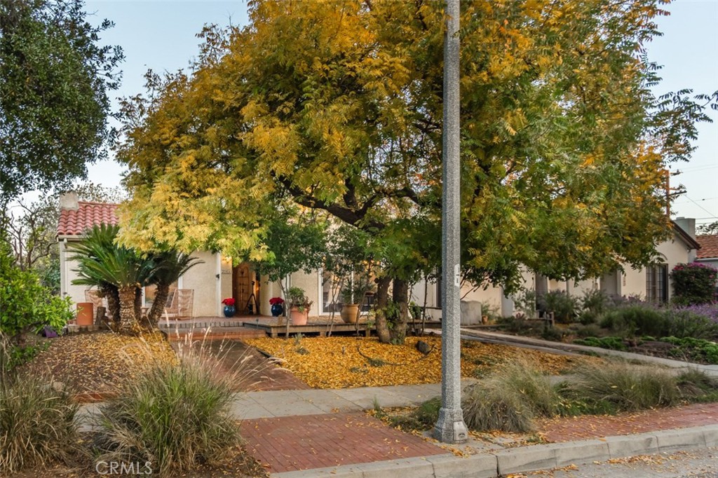 254 South Berkeley Avenue Pasadena, CA 91107 - Photo 36 of 40 a view of a street with large trees