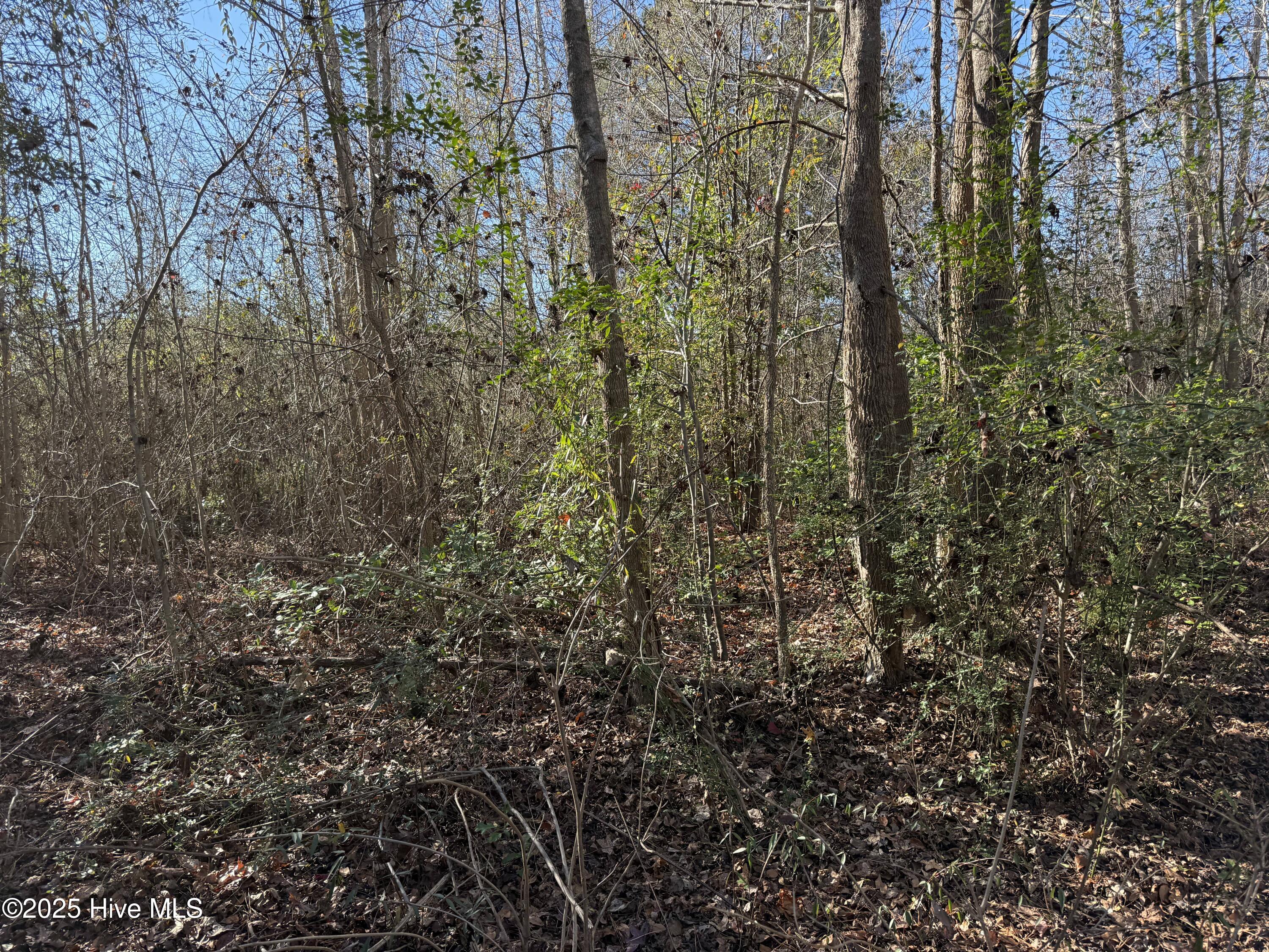 4758 Princess Ann Road Chadbourn, NC 28431 - Photo 12 of 31 Image 12