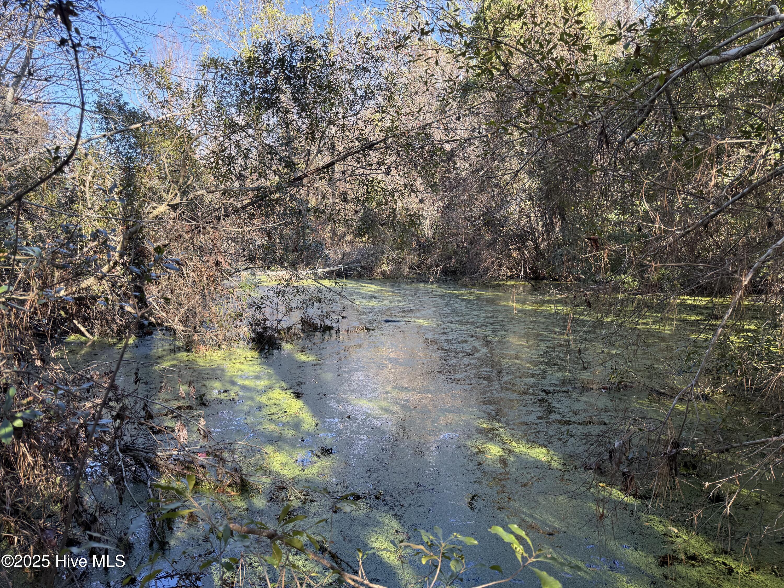 4758 Princess Ann Road Chadbourn, NC 28431 - Photo 15 of 31 Image 15