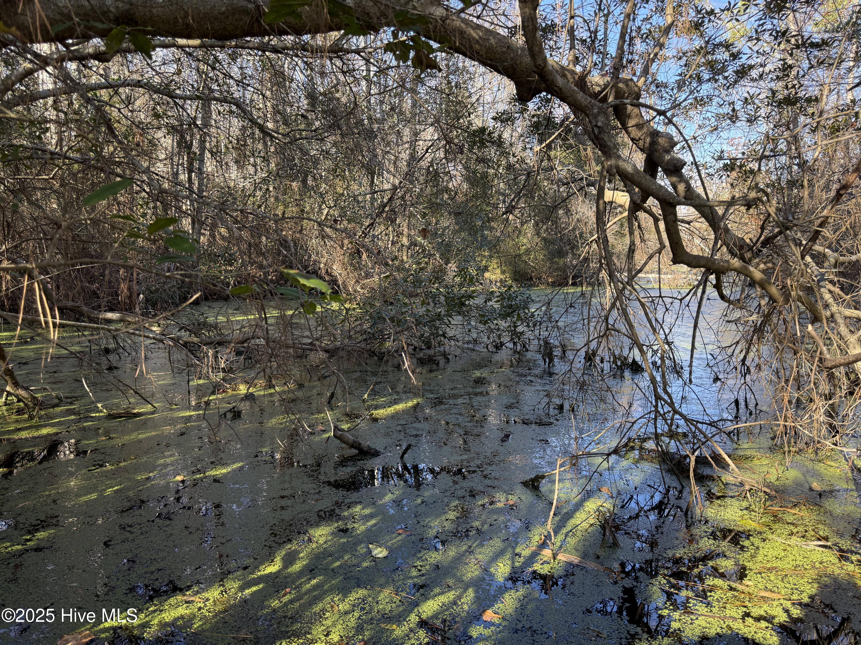 4758 Princess Ann Road Chadbourn, NC 28431 - Photo 16 of 31 Image 16