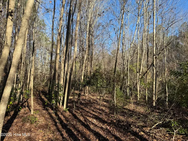 $69,900 | 4758 Princess Ann Road, Chadbourn, NC 28431