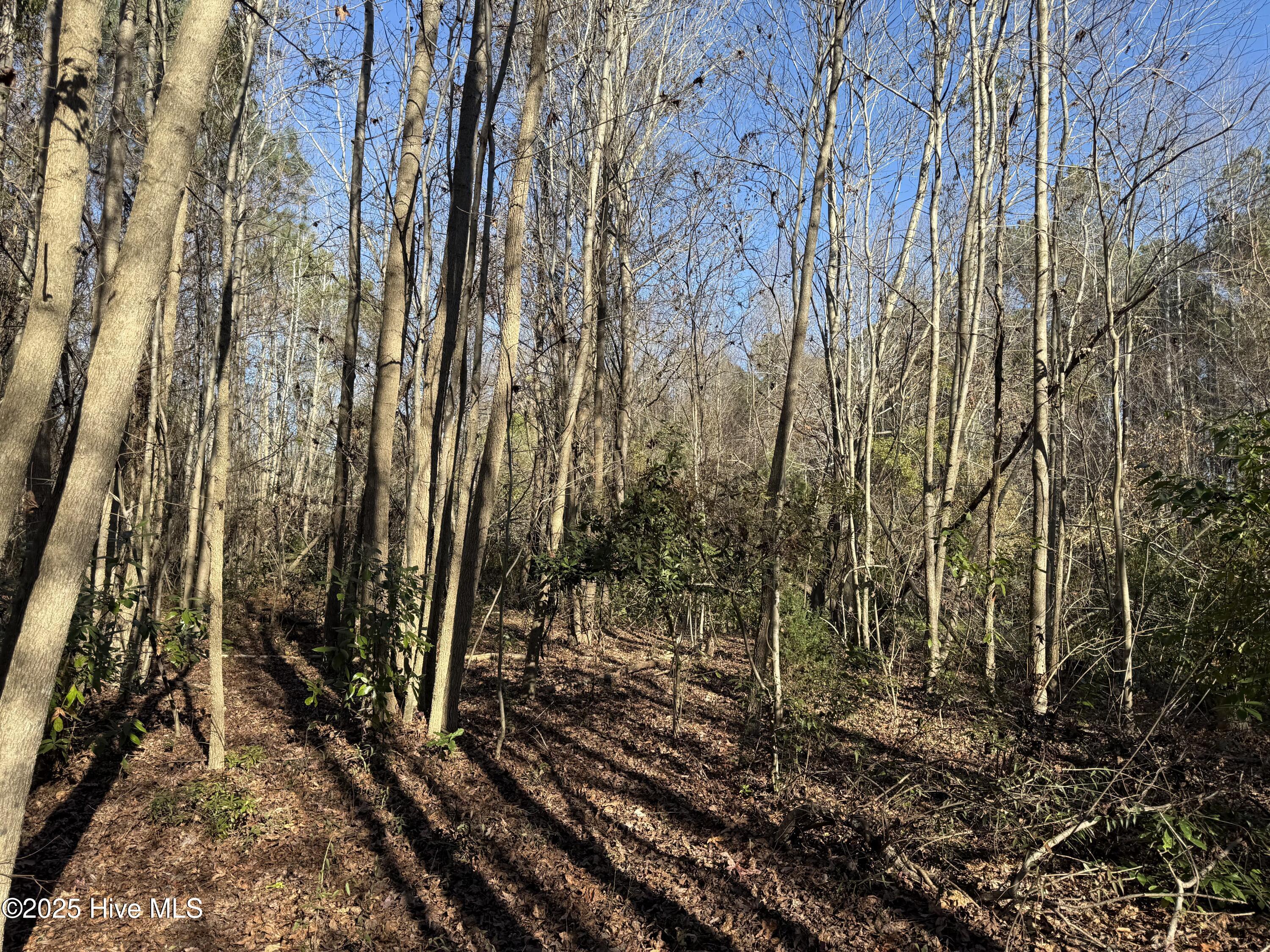 4758 Princess Ann Road Chadbourn, NC 28431 - Photo 20 of 31 Image 20