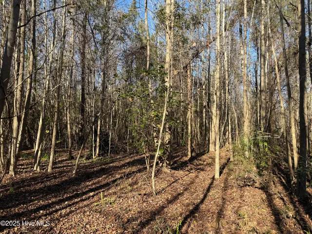 $69,900 | 4758 Princess Ann Road, Chadbourn, NC 28431