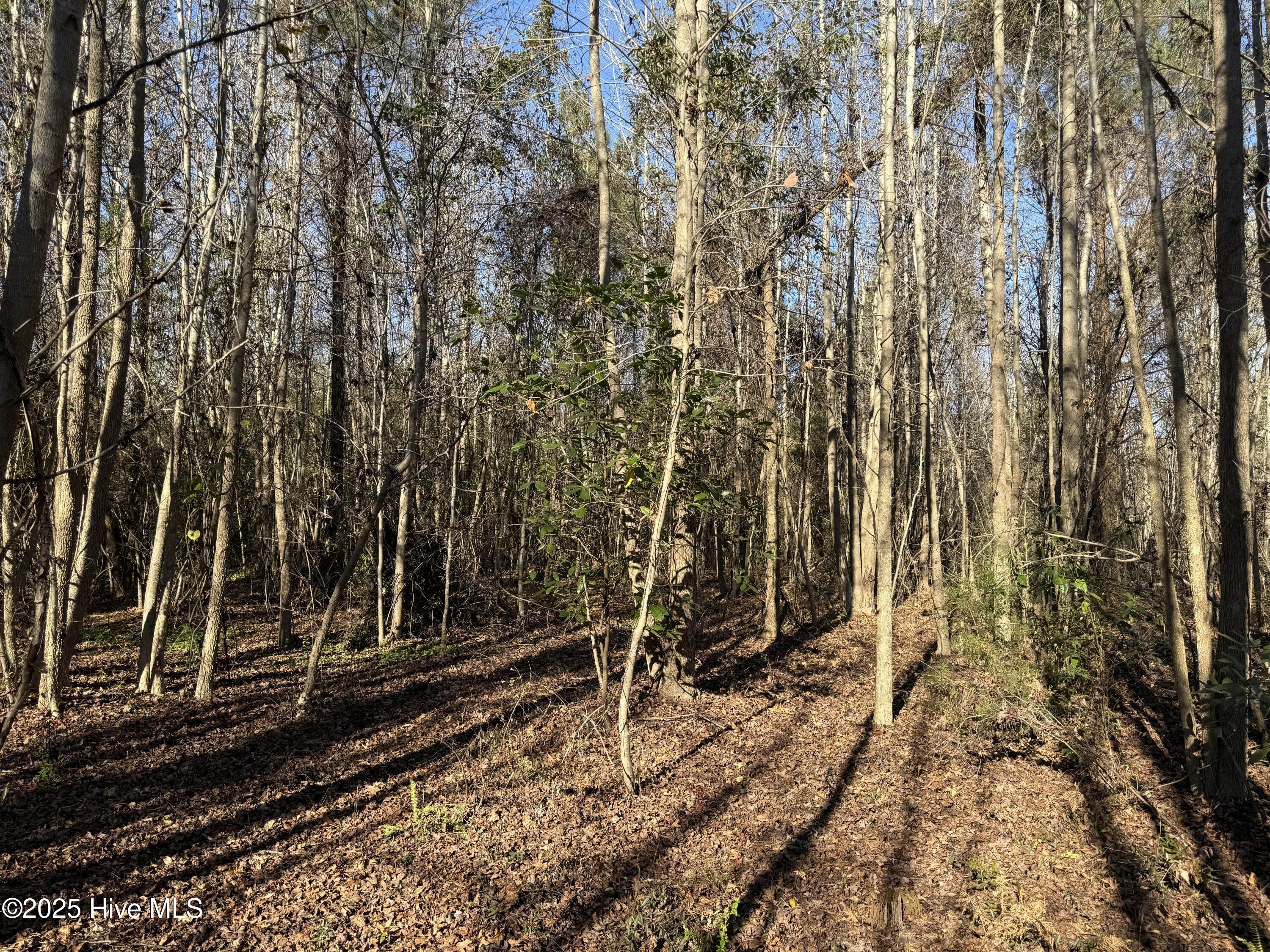 4758 Princess Ann Road Chadbourn, NC 28431 - Photo 21 of 31 Image 21