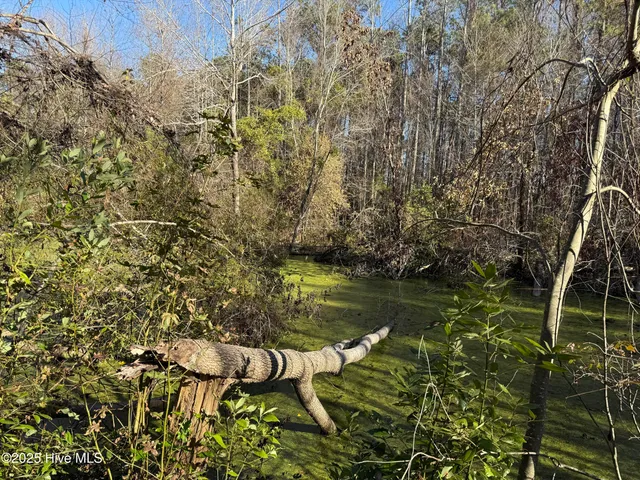 $69,900 | 4758 Princess Ann Road, Chadbourn, NC 28431