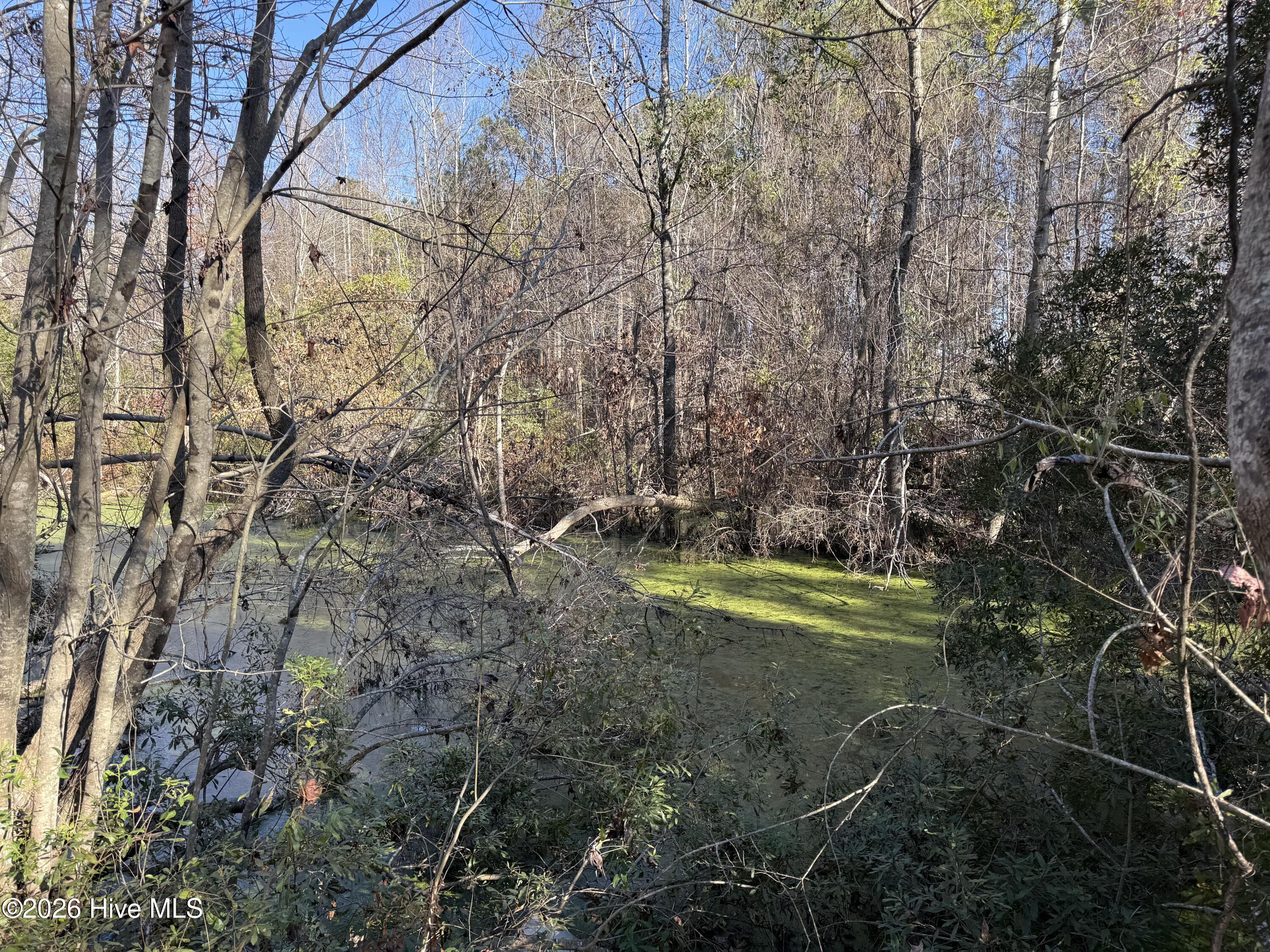 4758 Princess Ann Road Chadbourn, NC 28431 - Photo 25 of 35 Image 25