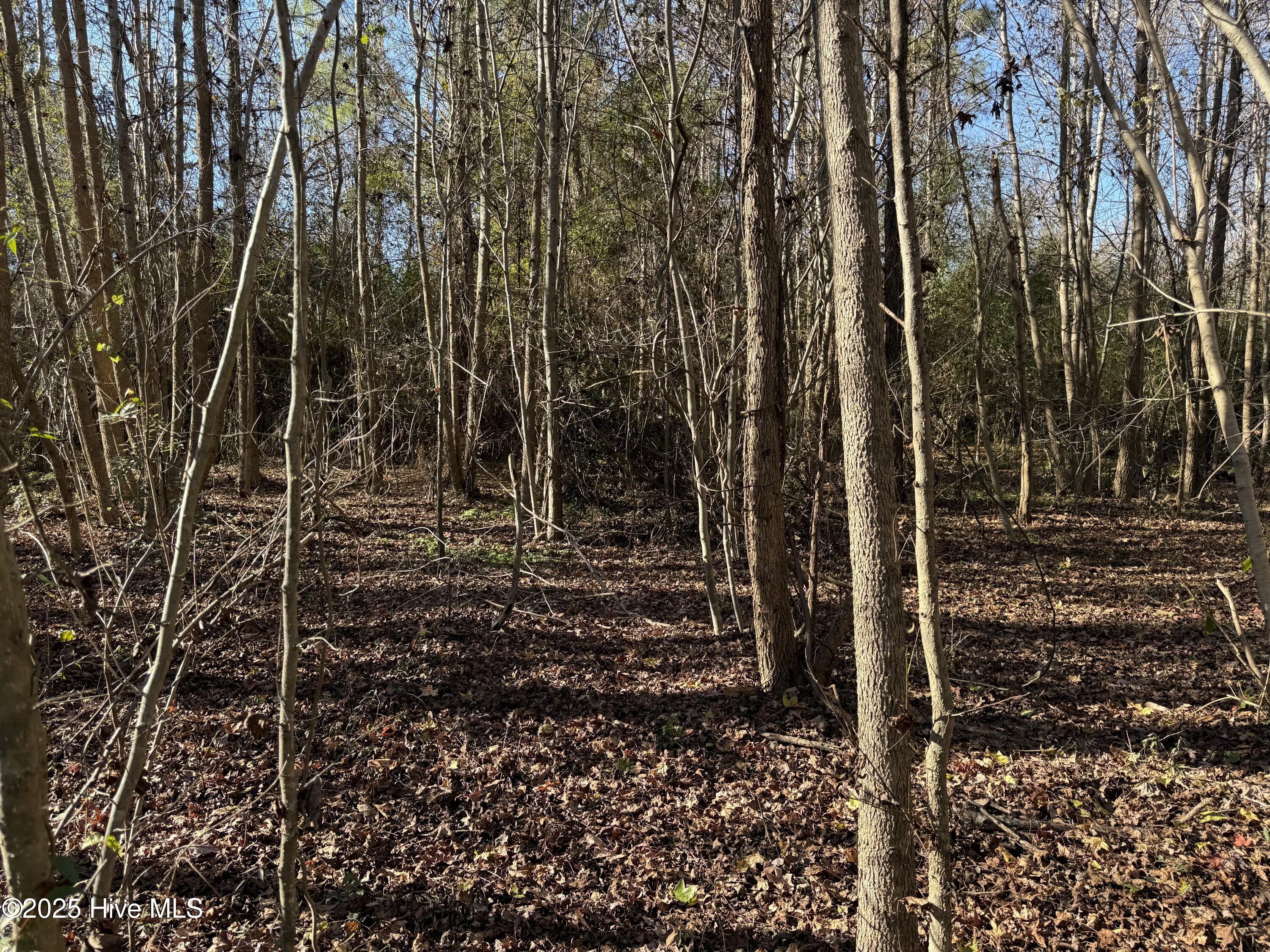 4758 Princess Ann Road Chadbourn, NC 28431 - Photo 25 of 31 Image 25