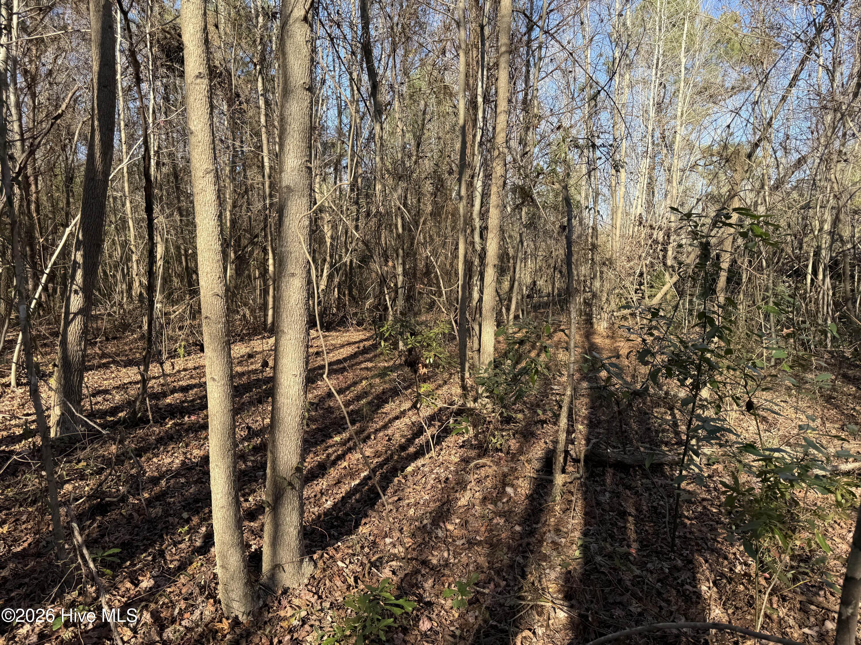 4758 Princess Ann Road Chadbourn, NC 28431 - Photo 26 of 35 Image 26
