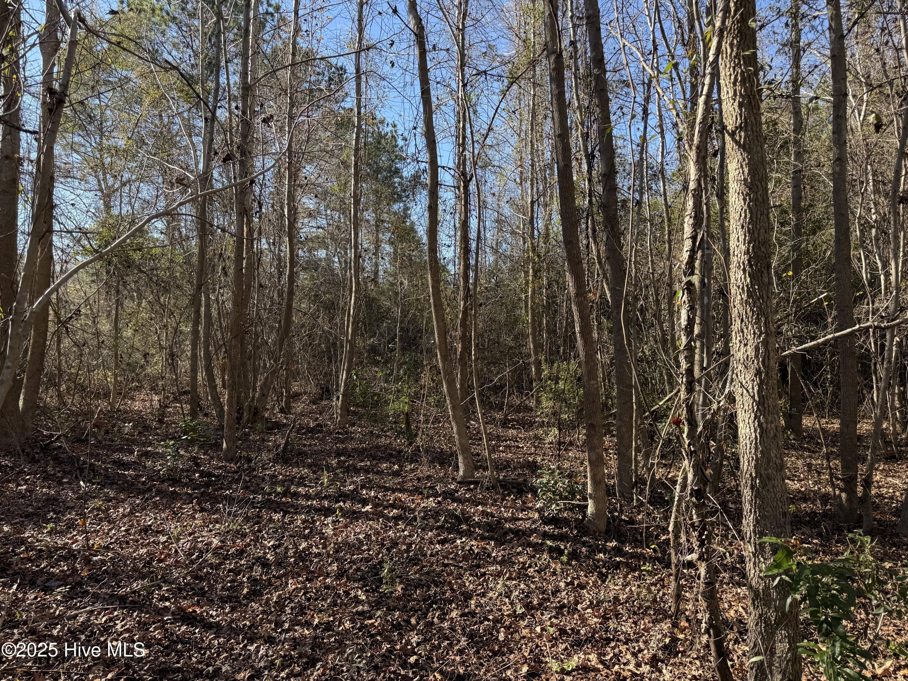 4758 Princess Ann Road Chadbourn, NC 28431 - Photo 29 of 31 Image 29