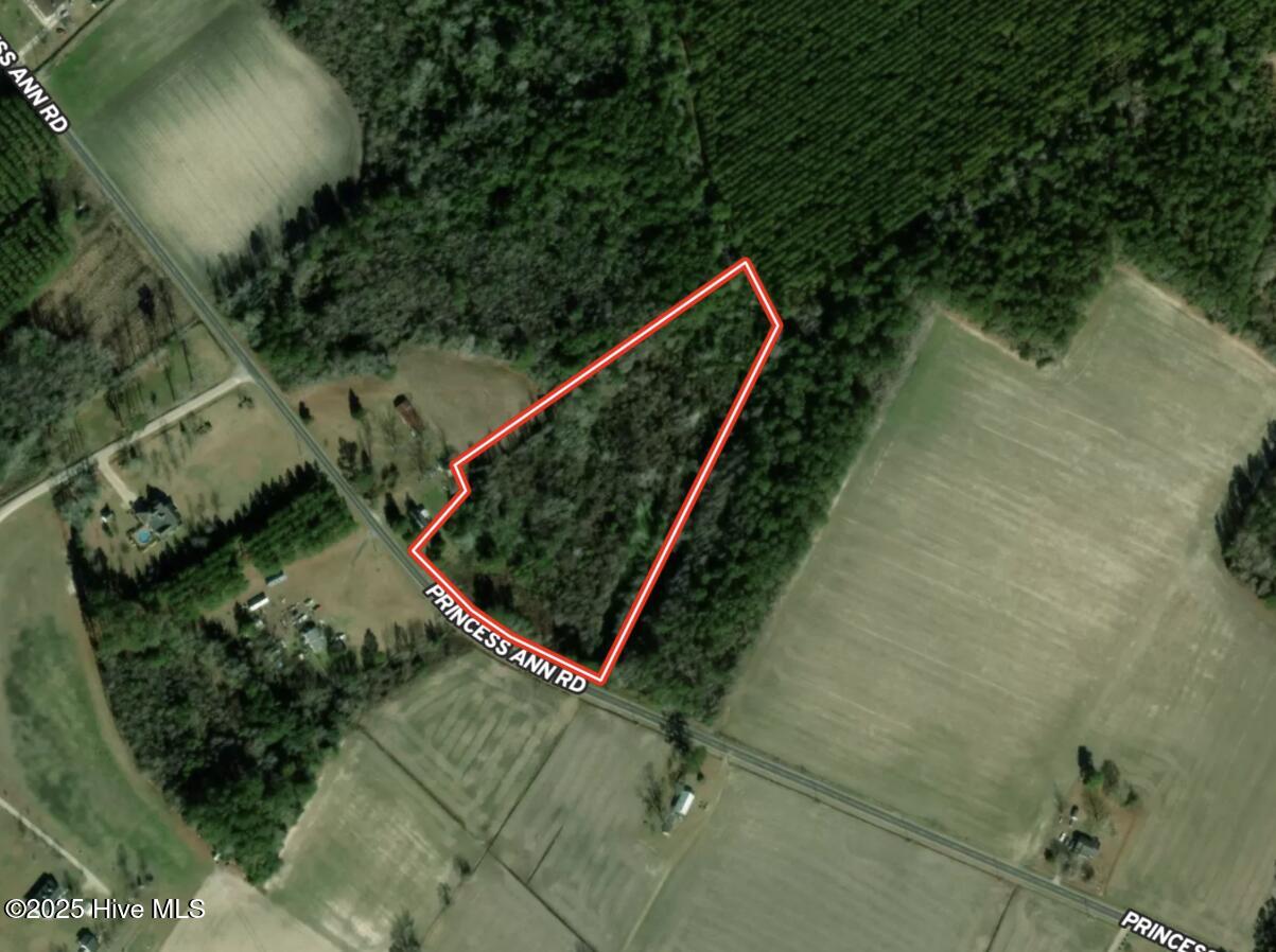 4758 Princess Ann Road Chadbourn, NC 28431 - Photo 30 of 31 Aerial 1