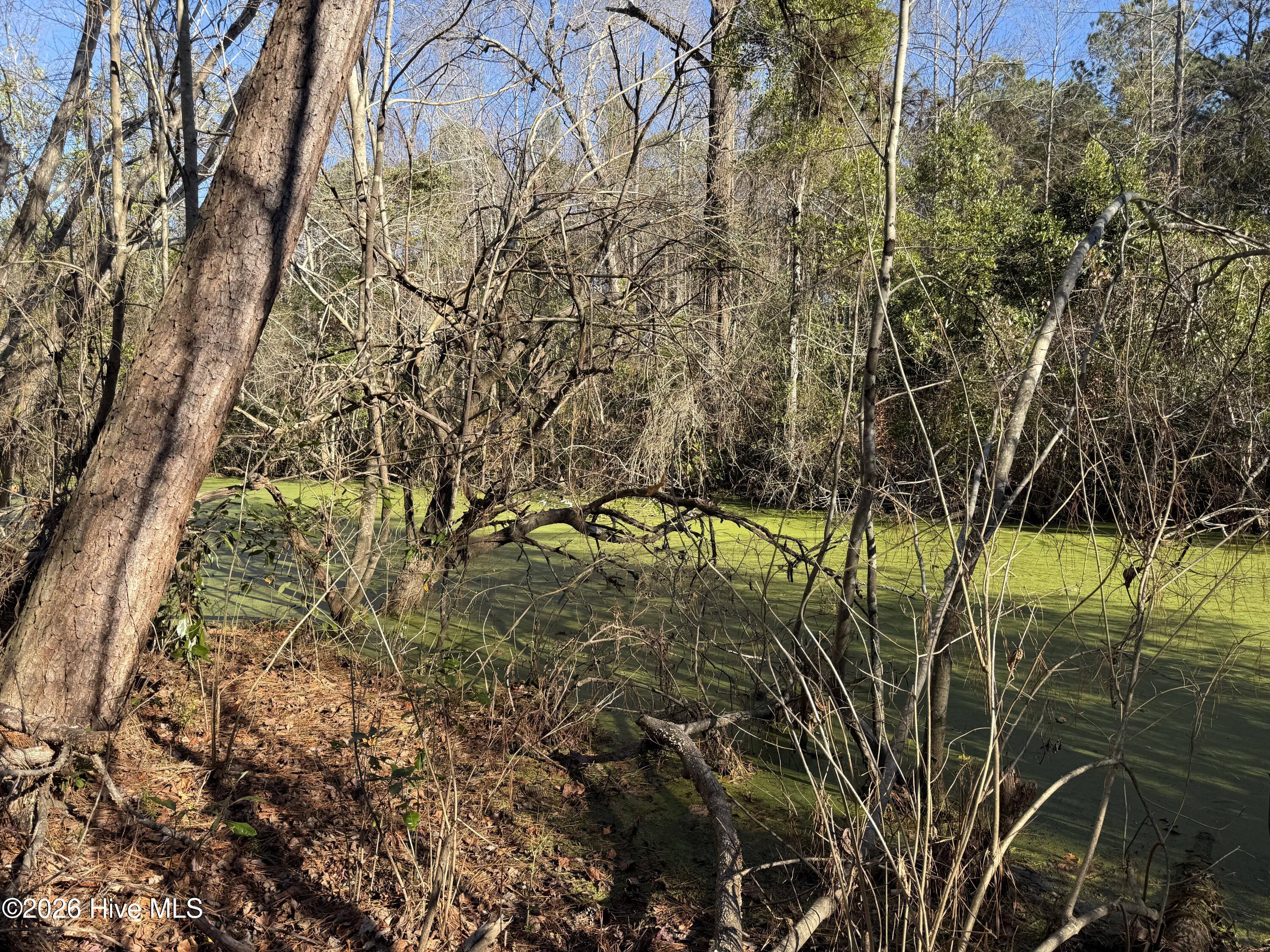 4758 Princess Ann Road Chadbourn, NC 28431 - Photo 32 of 35 Image 32