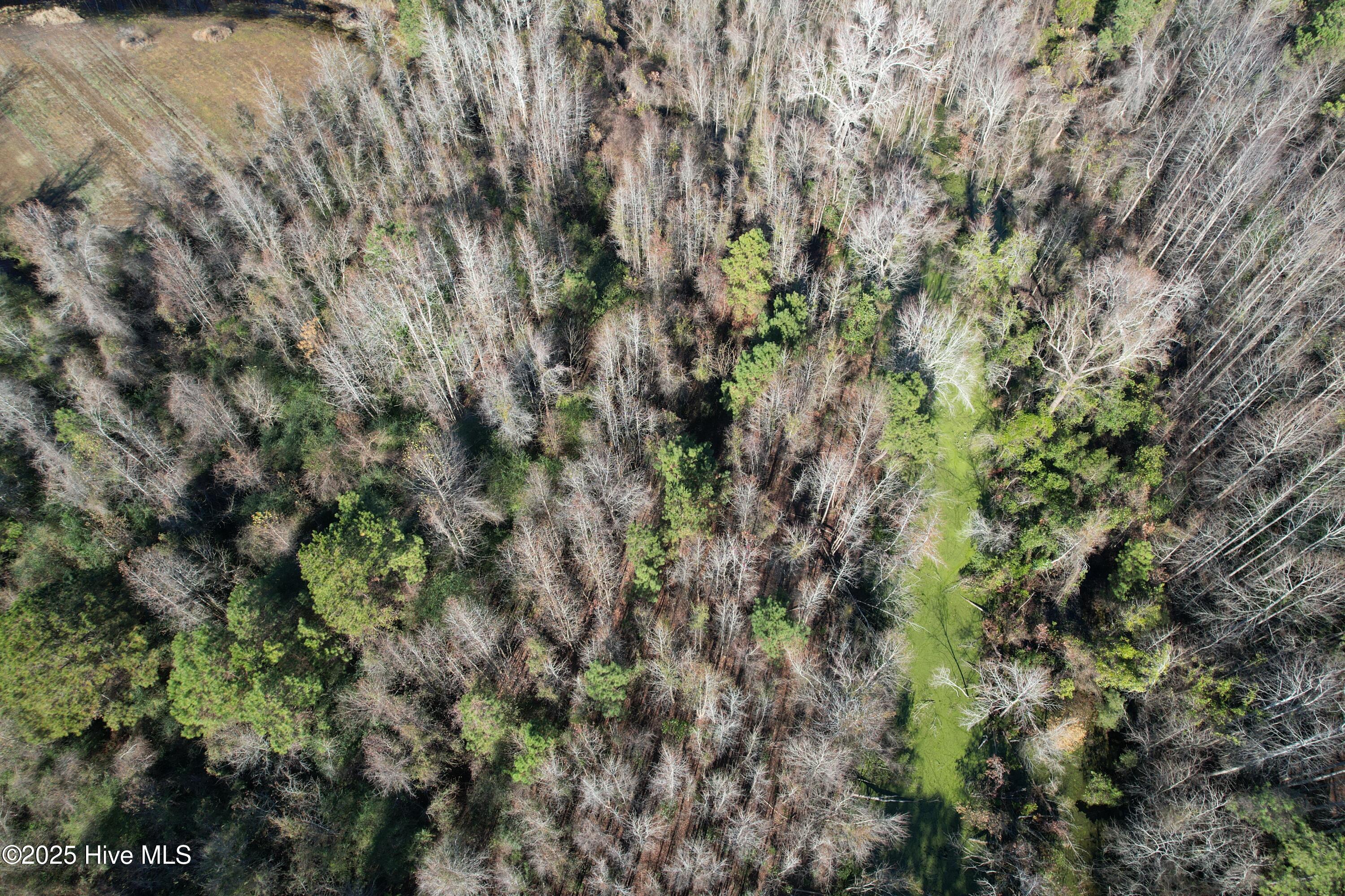 4758 Princess Ann Road Chadbourn, NC 28431 - Photo 6 of 31 Image 6