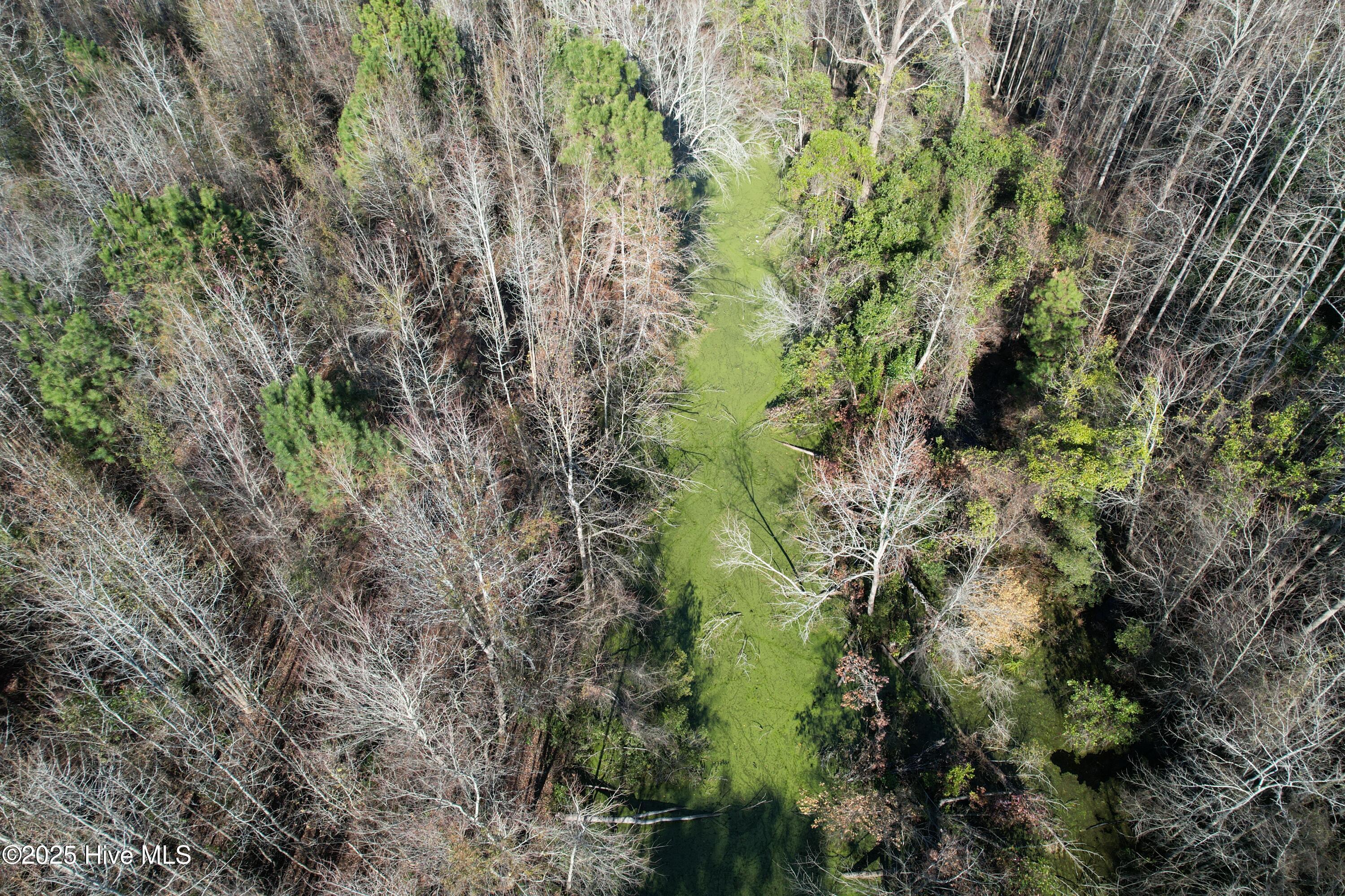 4758 Princess Ann Road Chadbourn, NC 28431 - Photo 7 of 31 Image 7