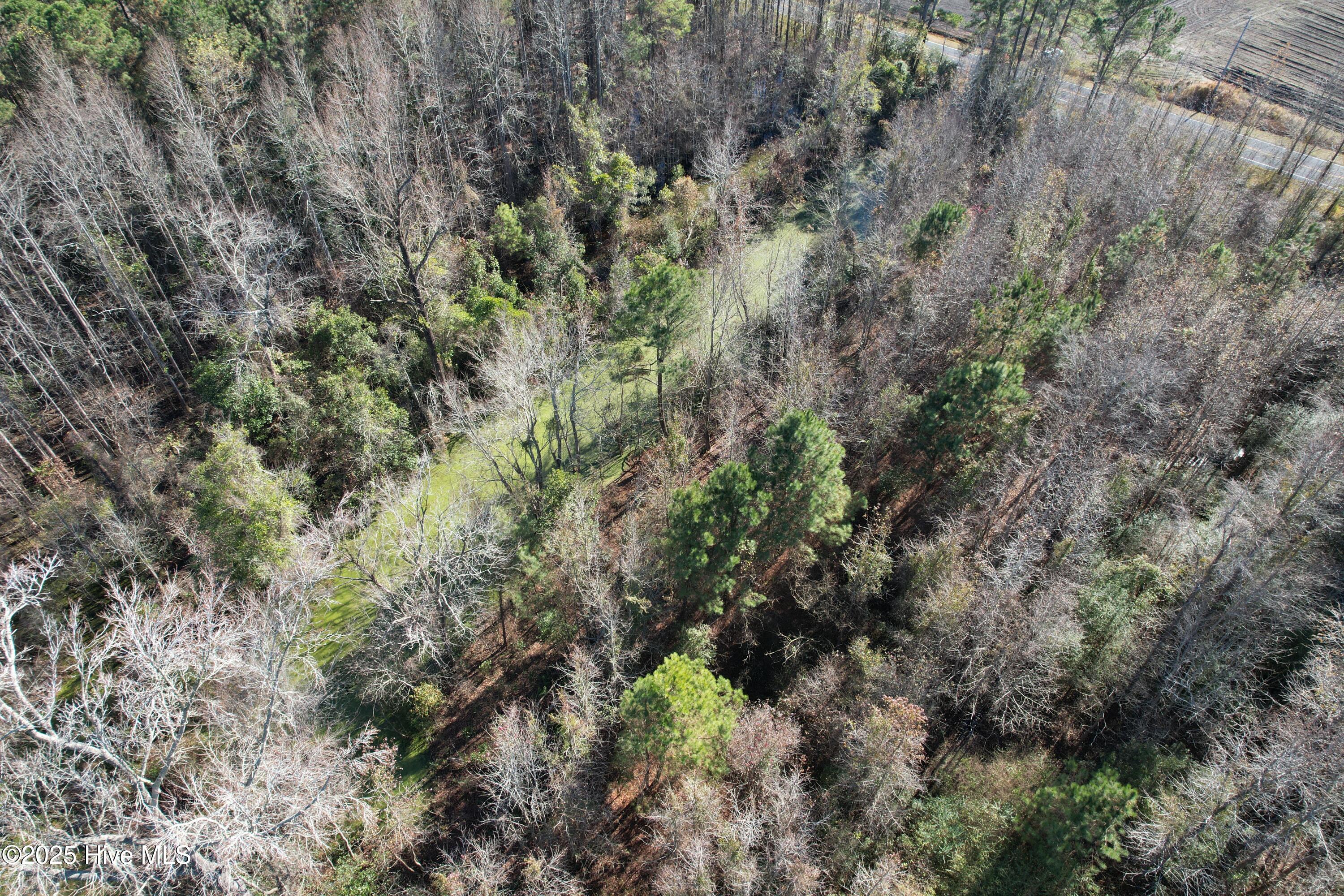 4758 Princess Ann Road Chadbourn, NC 28431 - Photo 8 of 31 Image 8