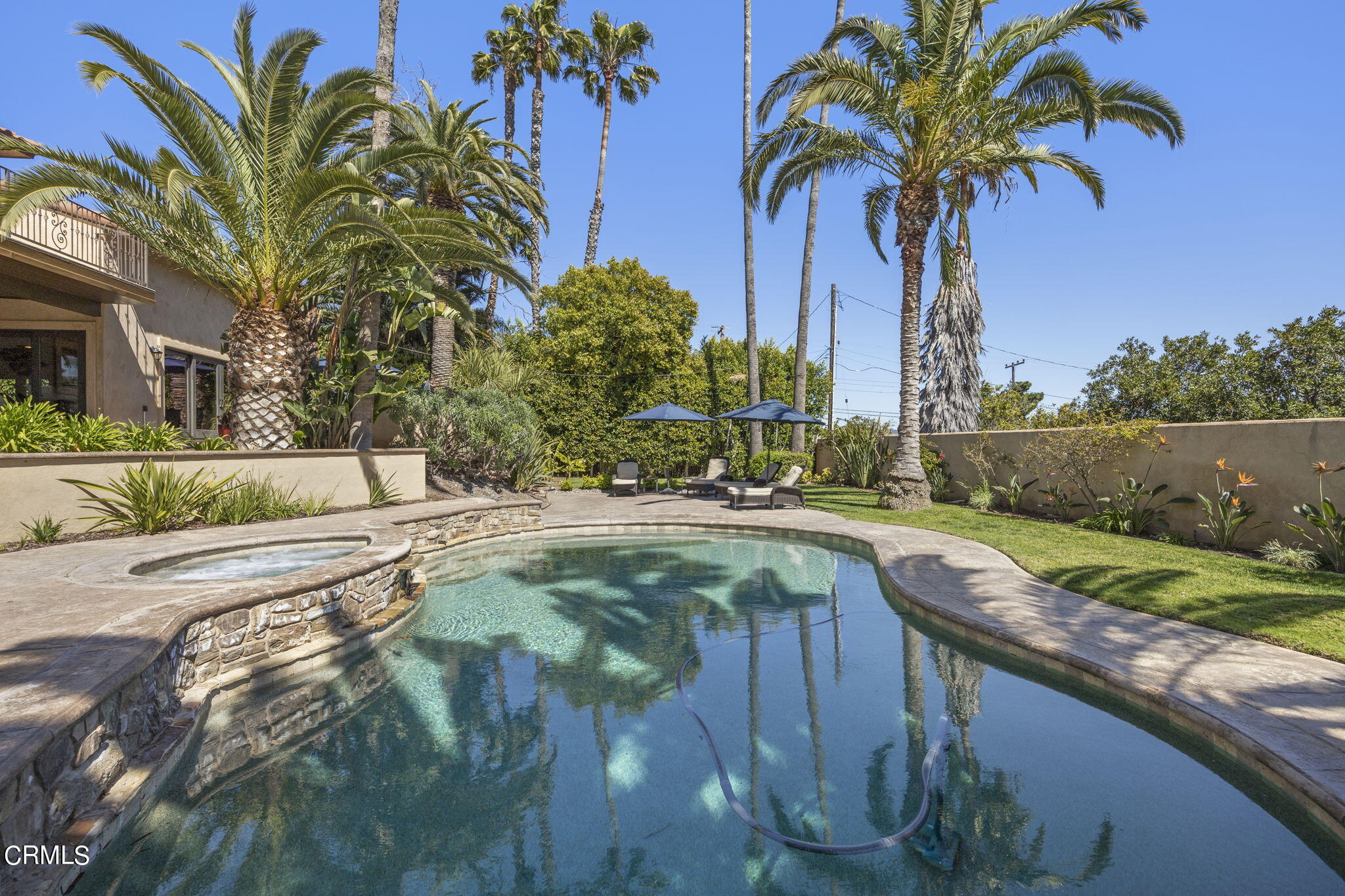 1006 Mesa Drive Camarillo, CA 93010 - Photo 59 of 74 a swimming pool with a yard and palm trees