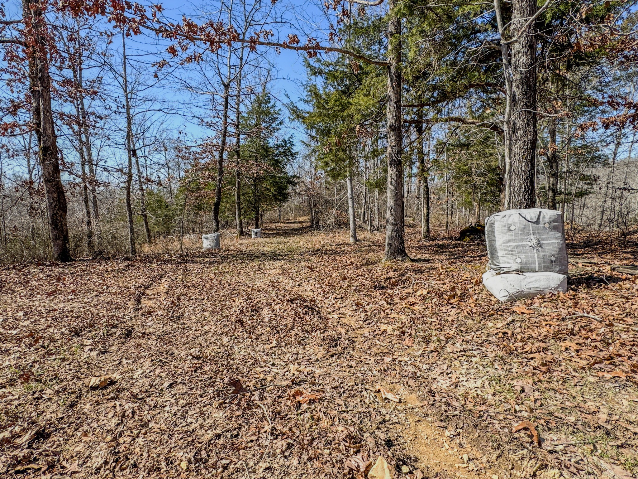 0 Bunker Hill Road Linden, TN 37096 - Photo 39 of 65 a backyard of a house with lots of green space