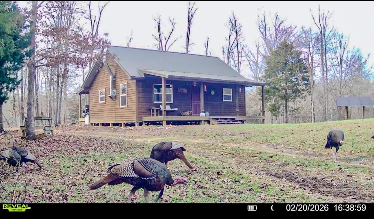 0 Bunker Hill Road Linden, TN 37096 - Photo 4 of 65 a view of a house with a yard