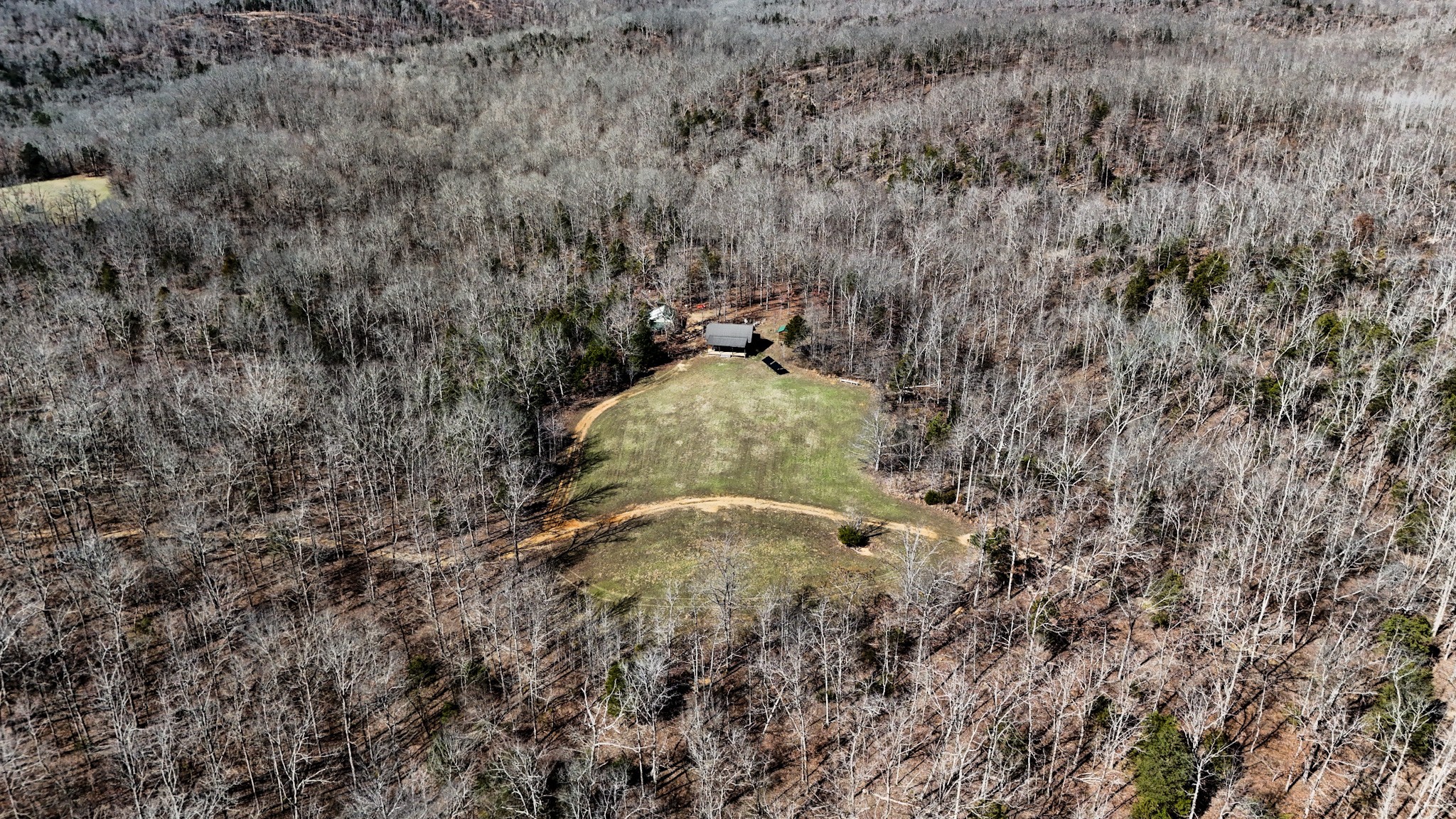 0 Bunker Hill Road Linden, TN 37096 - Photo 45 of 65 a view of a forest with a tree