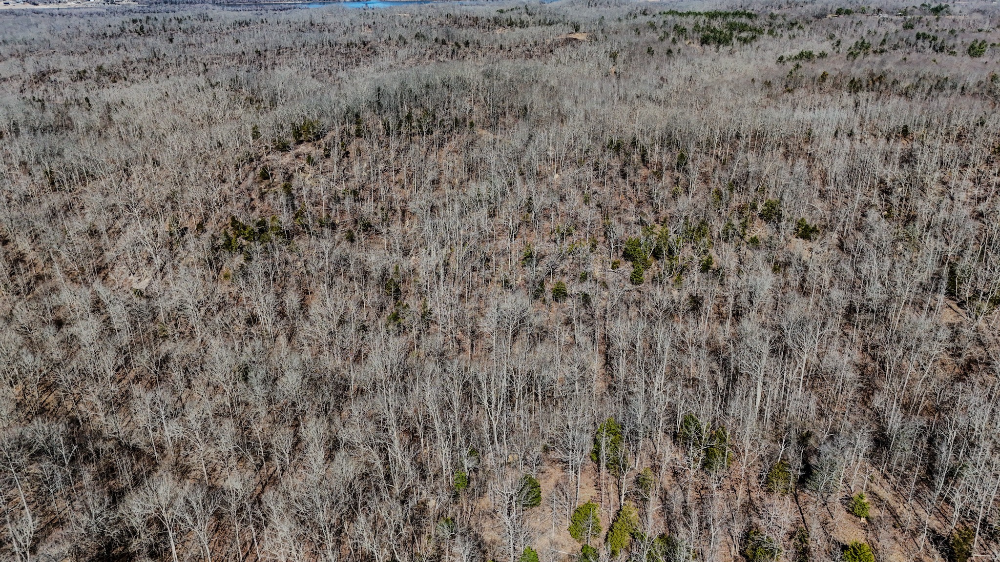 0 Bunker Hill Road Linden, TN 37096 - Photo 48 of 65