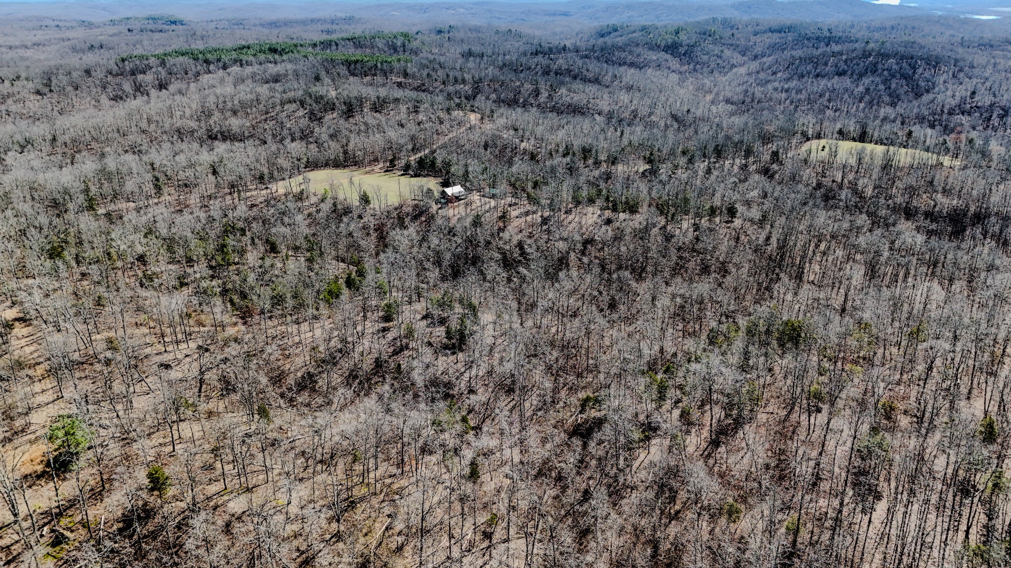 0 Bunker Hill Road Linden, TN 37096 - Photo 50 of 65 a view of a dry yard