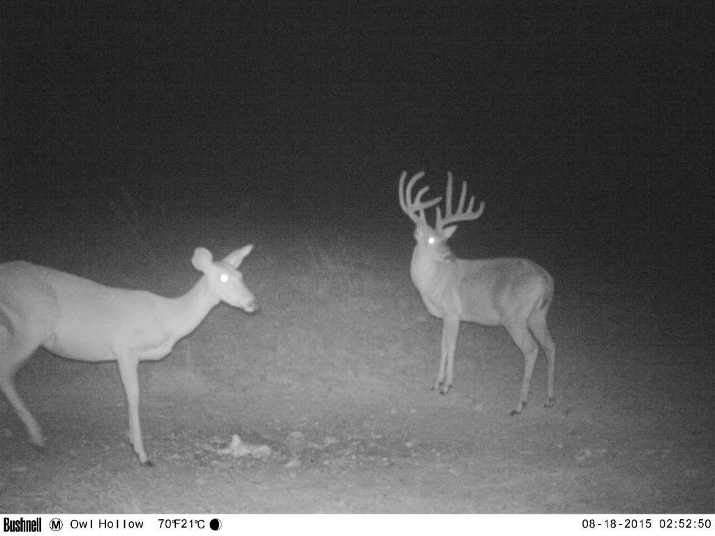 0 Bunker Hill Road Linden, TN 37096 - Photo 5 of 65 a view of a room with a table and chair