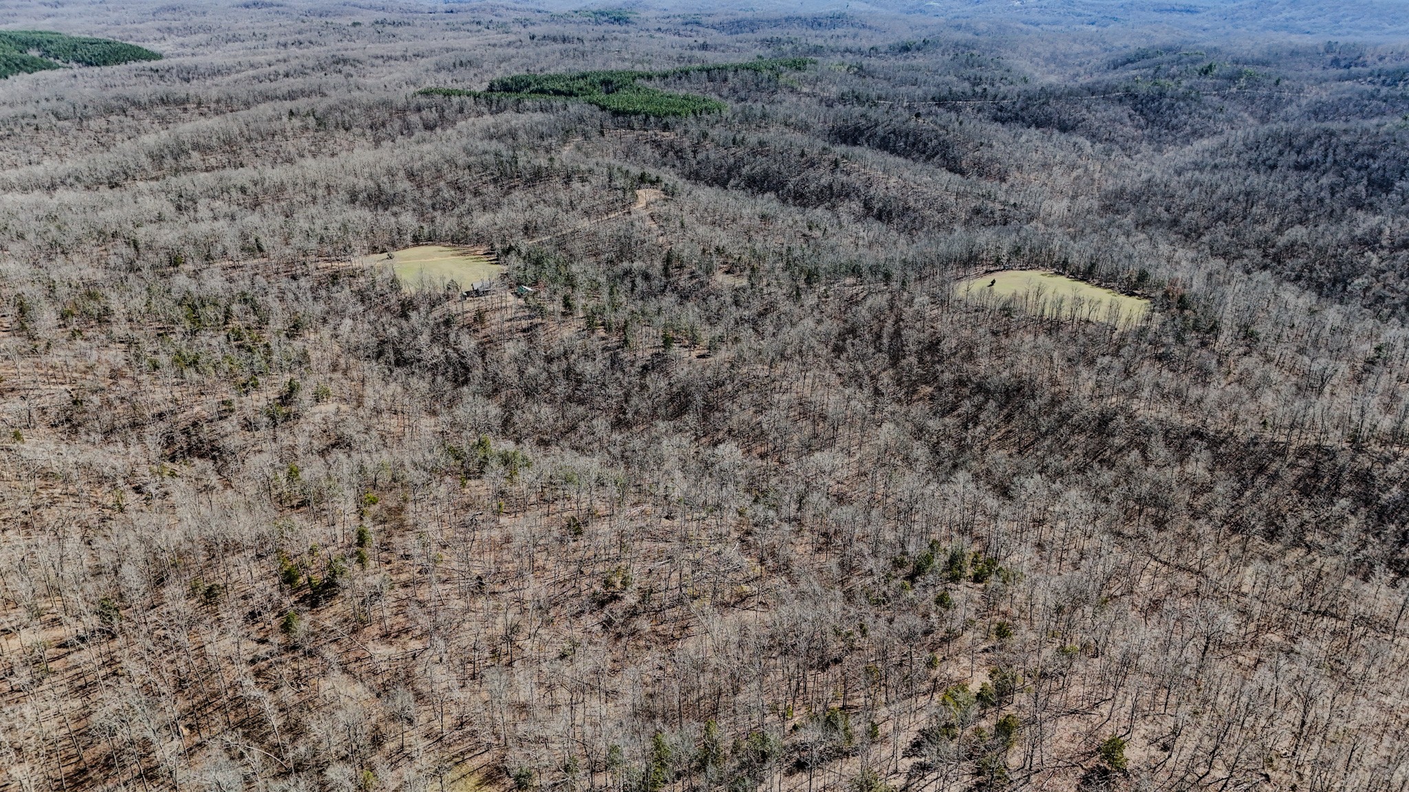 0 Bunker Hill Road Linden, TN 37096 - Photo 51 of 65 a close up of a field