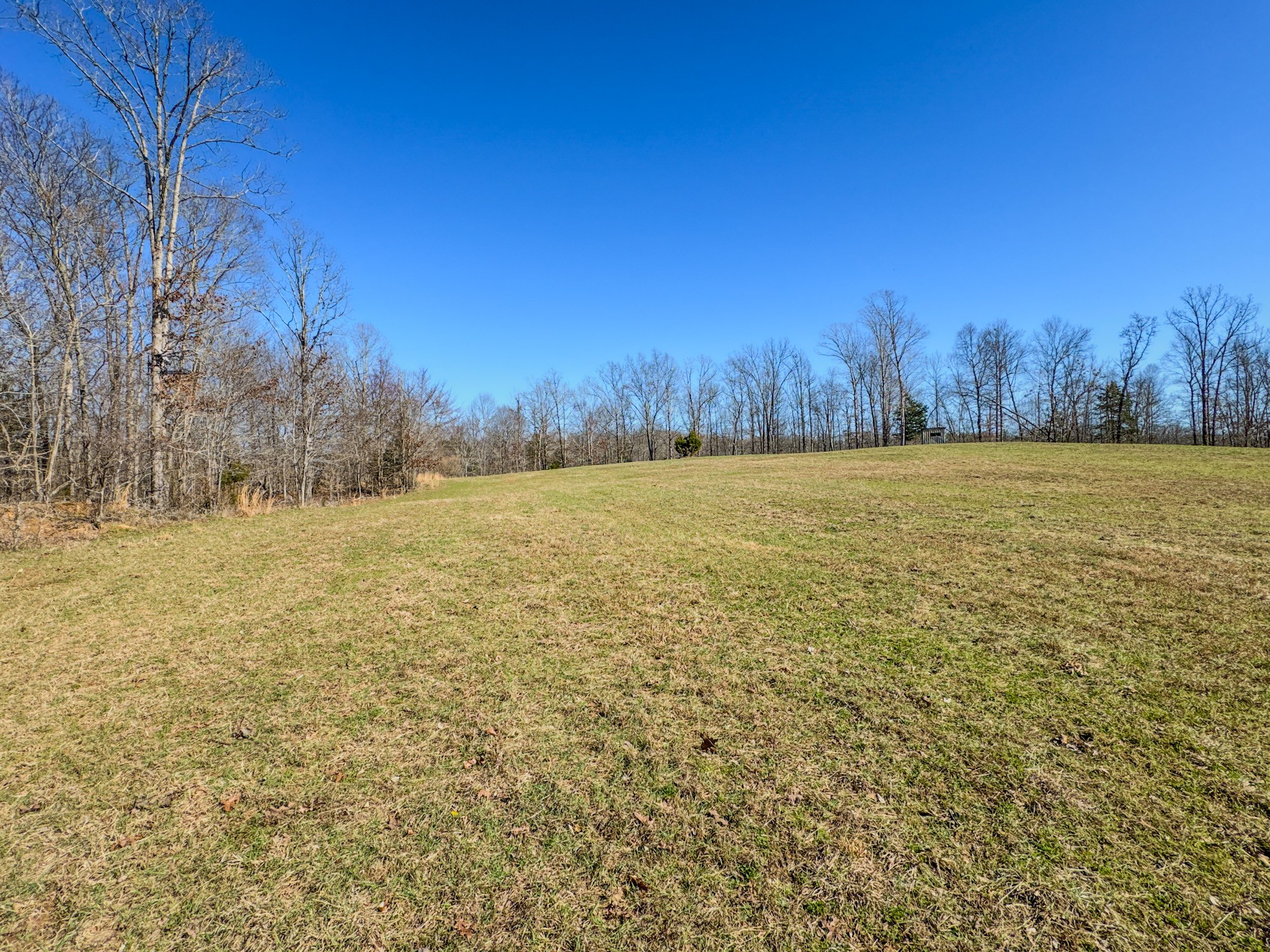0 Bunker Hill Road Linden, TN 37096 - Photo 54 of 65