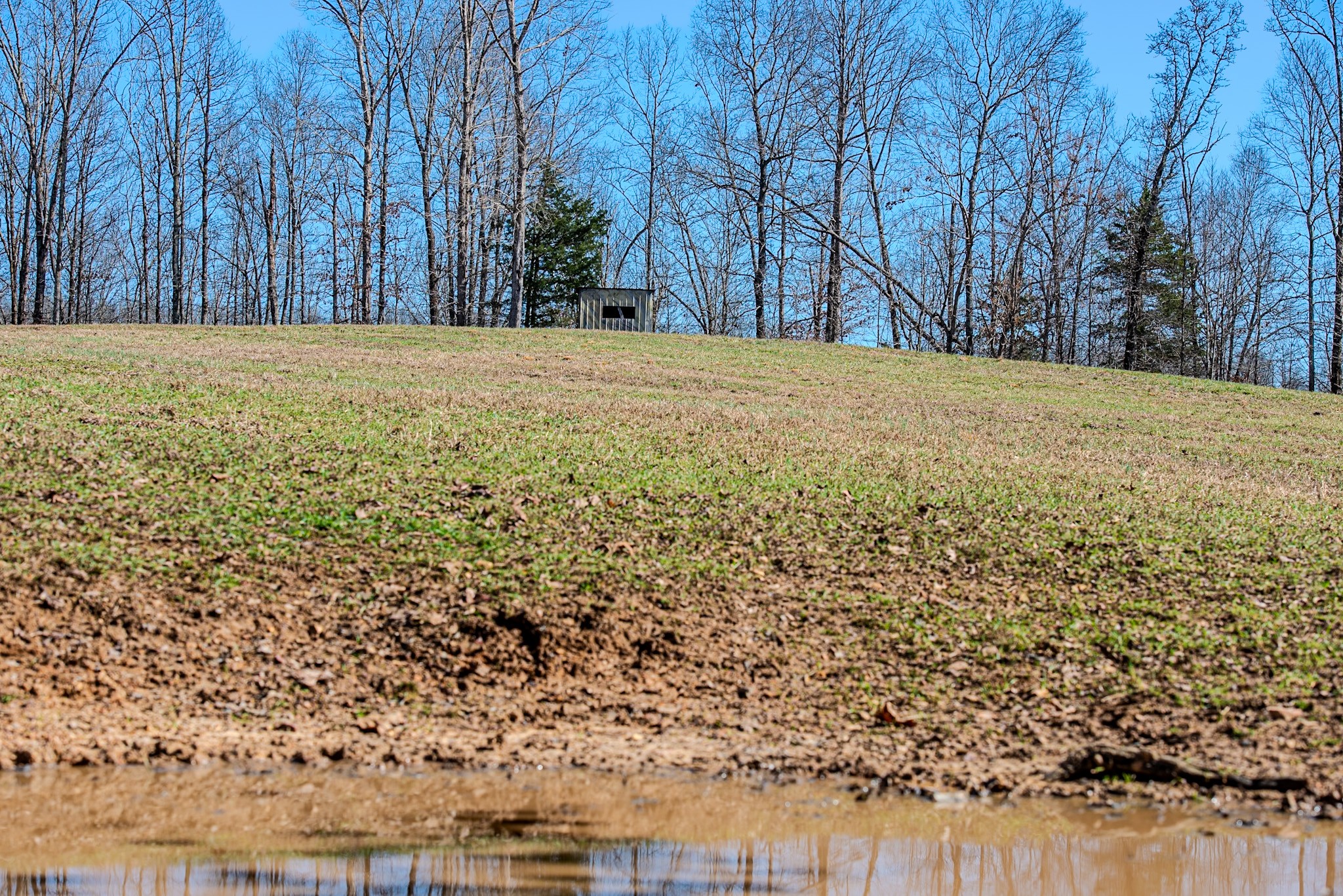 0 Bunker Hill Road Linden, TN 37096 - Photo 55 of 65 a view of a yard with large trees