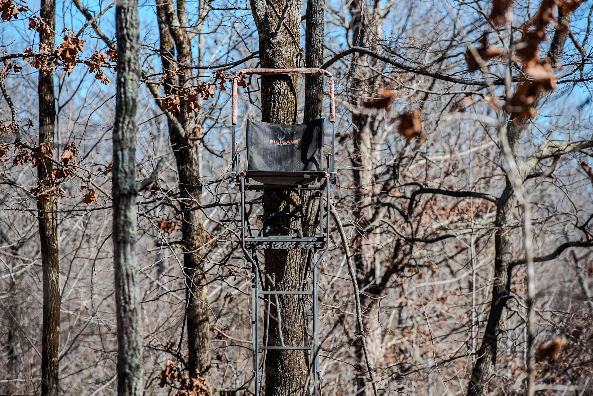 0 Bunker Hill Road Linden, TN 37096 - Photo 56 of 65 a picture of street with a tree