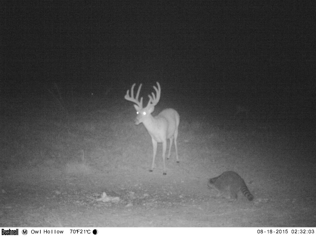 0 Bunker Hill Road Linden, TN 37096 - Photo 57 of 65 a black and white photo of a room