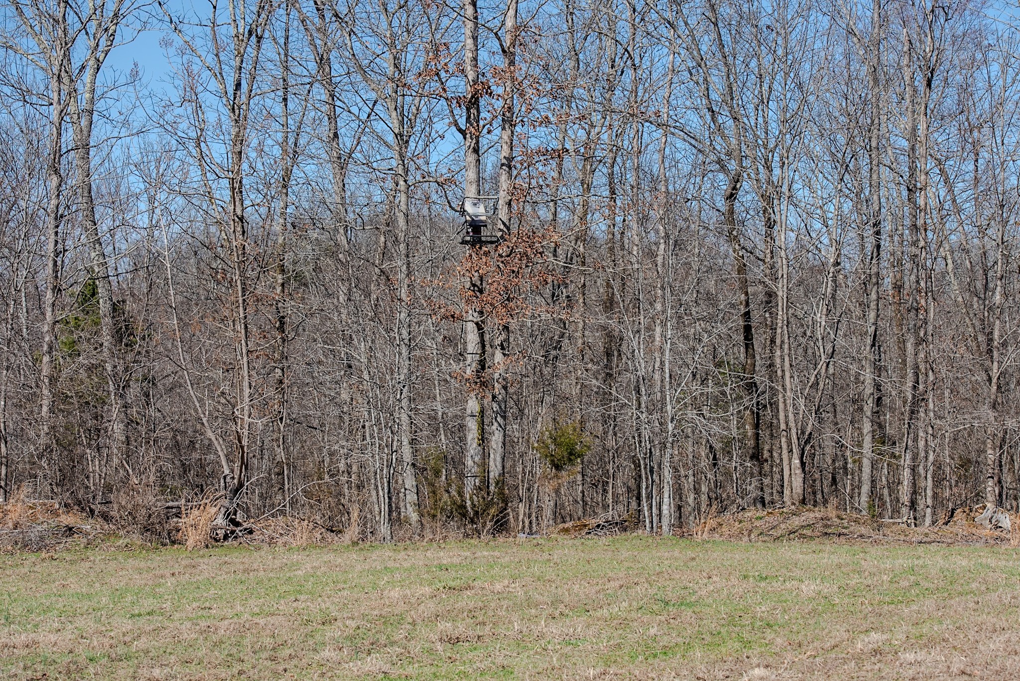 0 Bunker Hill Road Linden, TN 37096 - Photo 59 of 65