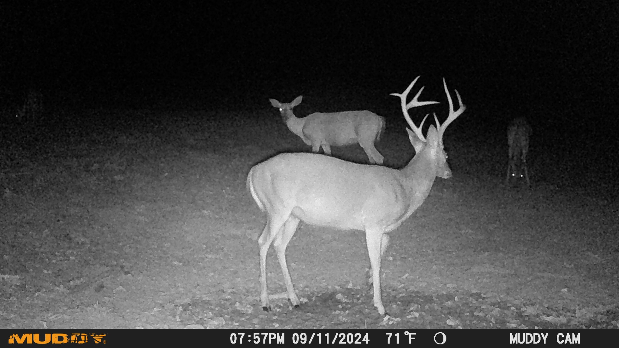 0 Bunker Hill Road Linden, TN 37096 - Photo 64 of 65